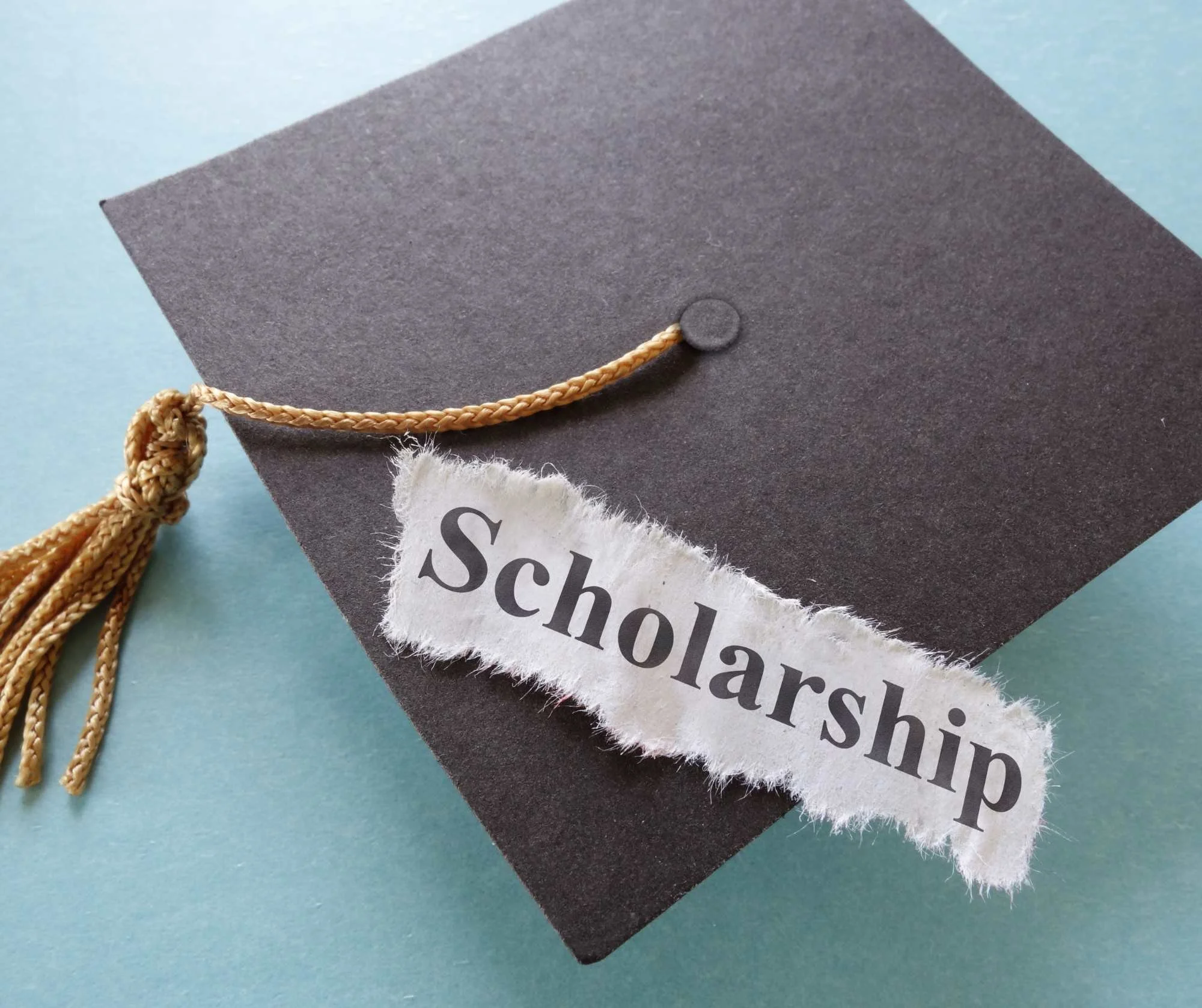 What Is the FES-UA Scholarship?