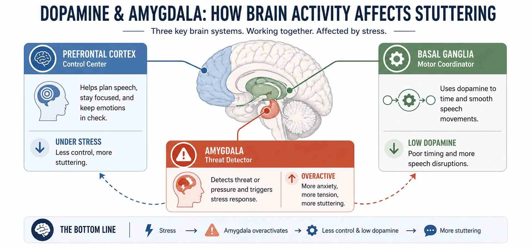 The Role of Dopamine and the Amygdala