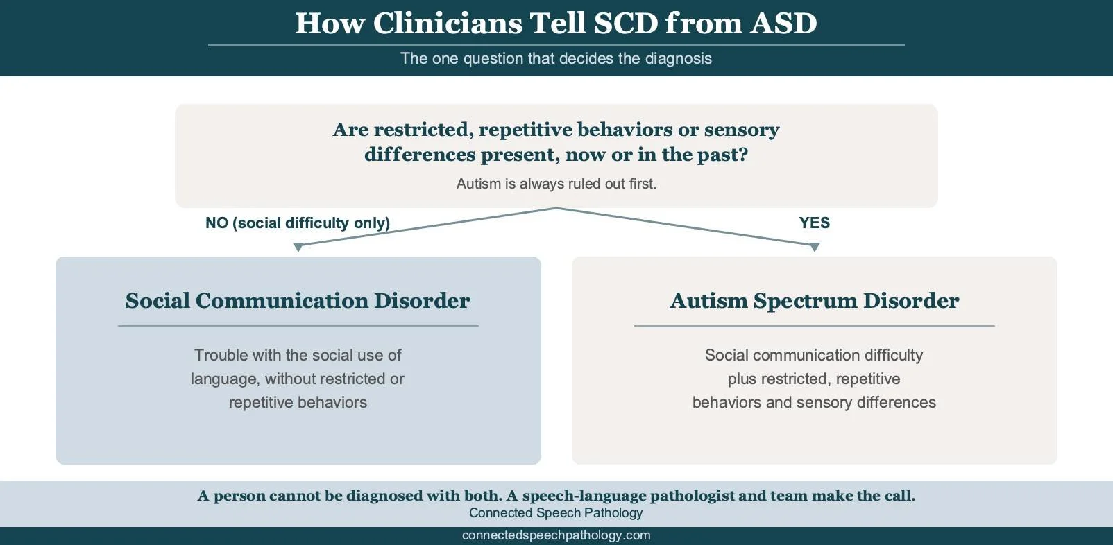 Decision-flow infographic showing how clinicians tell social communication disorder from autism by checking whether restricted, repetitive behaviors and sensory differences are present.