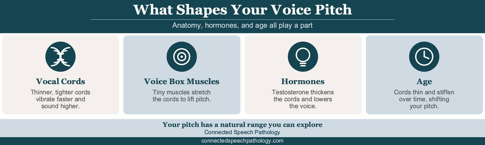 how to make your voice higher pitched infographic: how vocal cords, voice box muscles, hormones, and age affect pitch