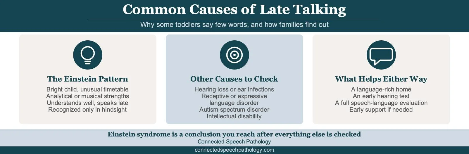 Infographic of common causes of late talking, including the Einstein syndrome pattern, conditions to check, and what helps.