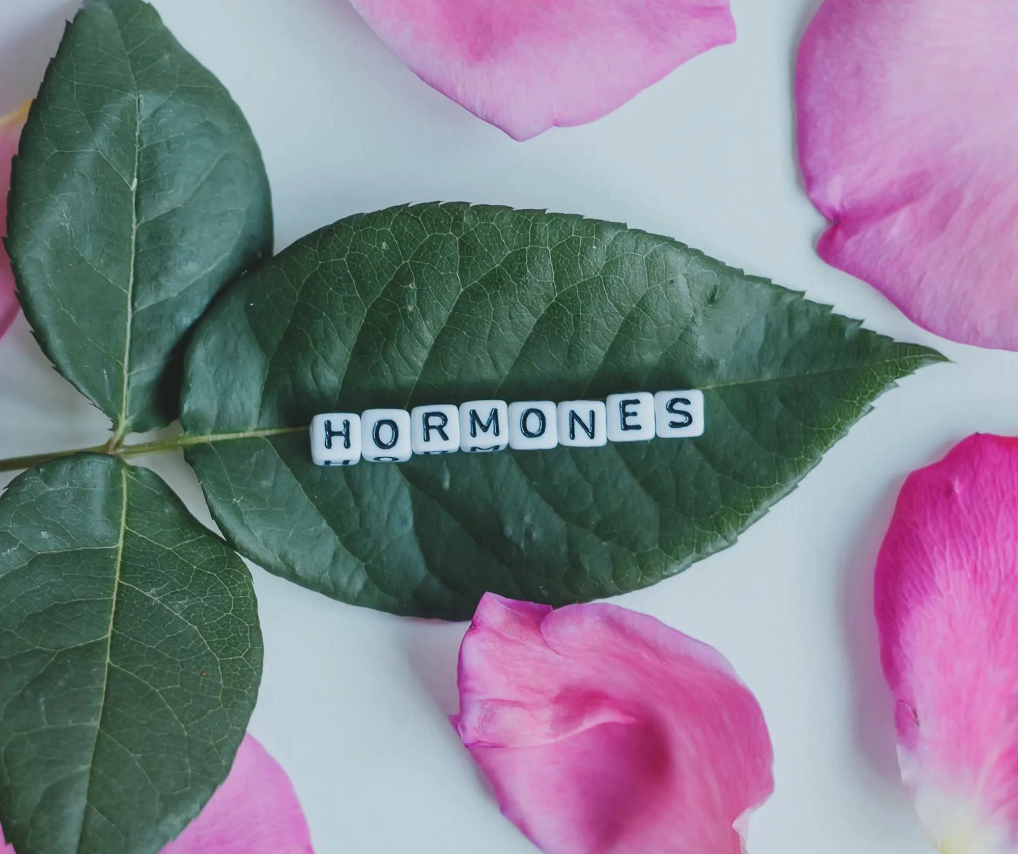 Does Hormone Therapy Affect Your Voice?