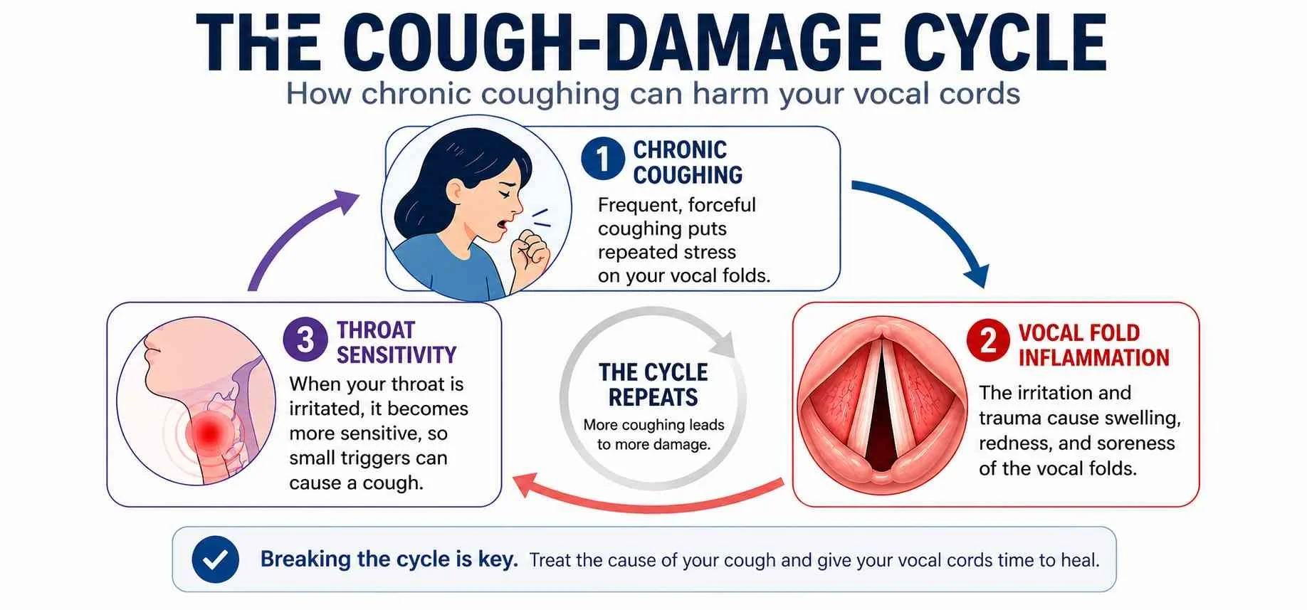 How Coughing Damages the Vocal Cords