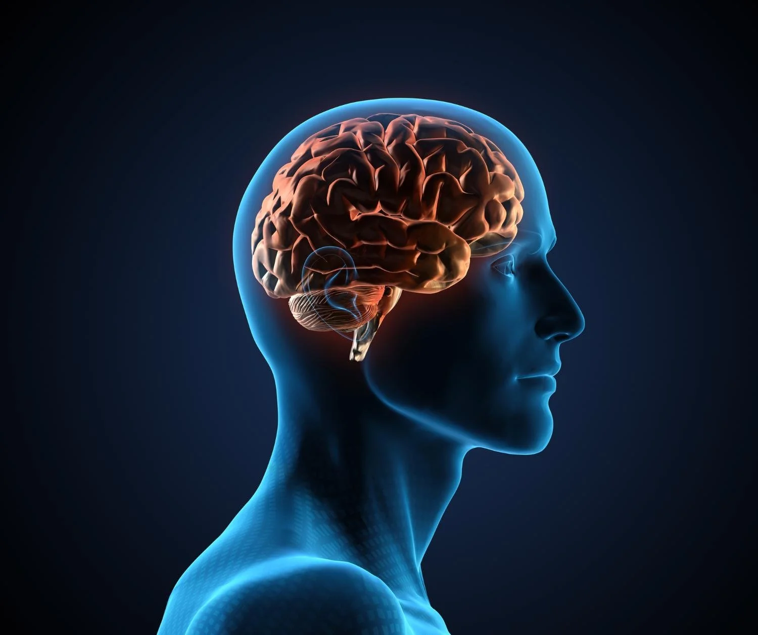 What Is Brain Fog?