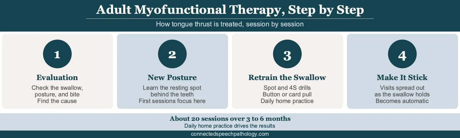 Adult myofunctional therapy infographic: evaluation, new posture, swallow retraining, and habituation steps