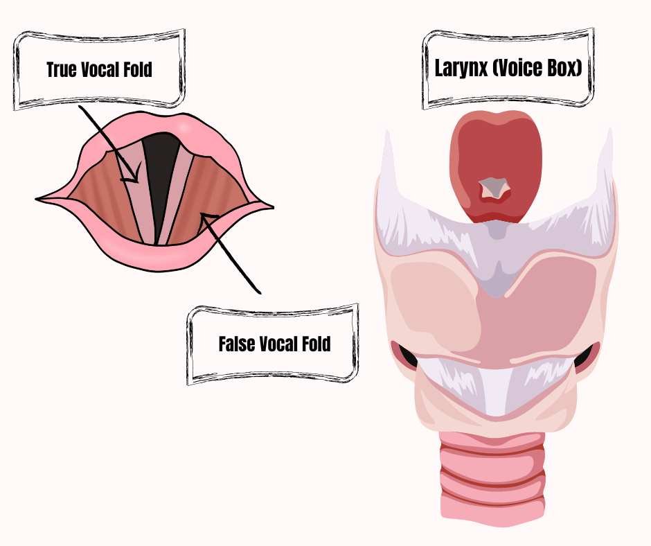 Voice Therapy For Singers