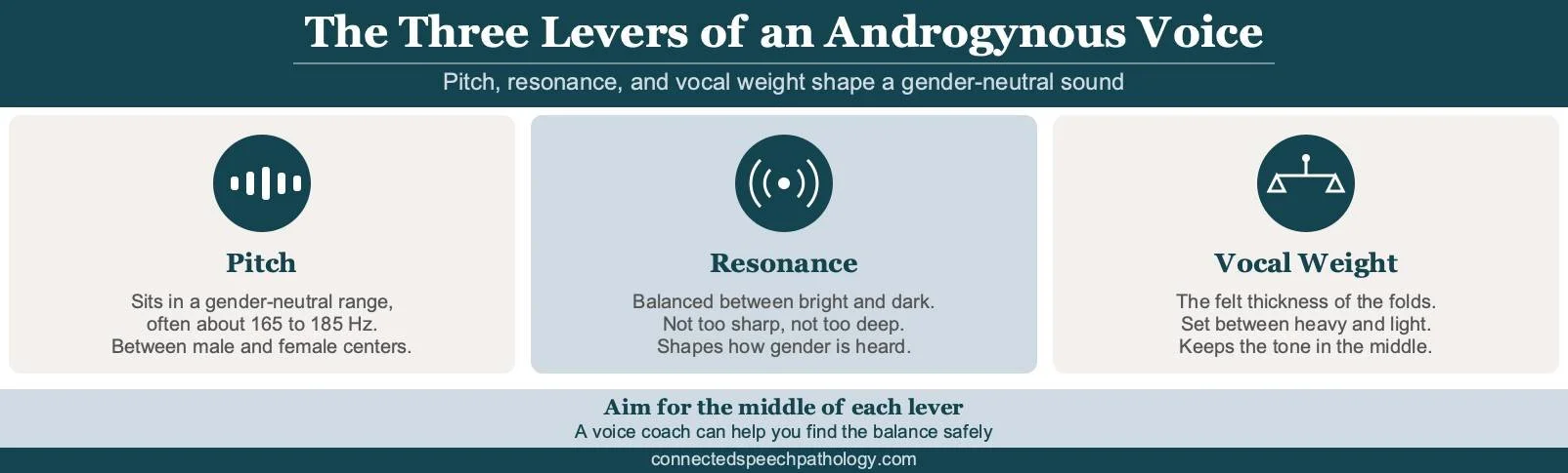 Androgynous voice infographic: pitch (165 to 185 Hz), balanced resonance, and vocal weight for a neutral sound