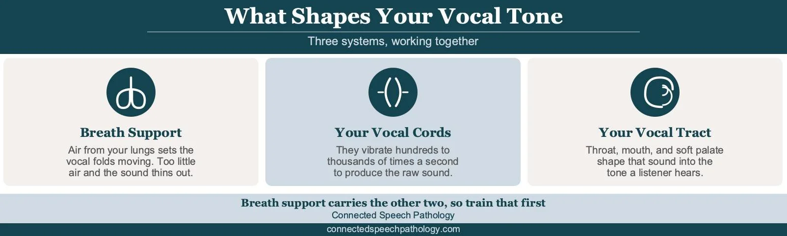How to improve vocal tone infographic showing the three systems that shape it: breath support, vocal fold vibration, and vocal tract resonance.