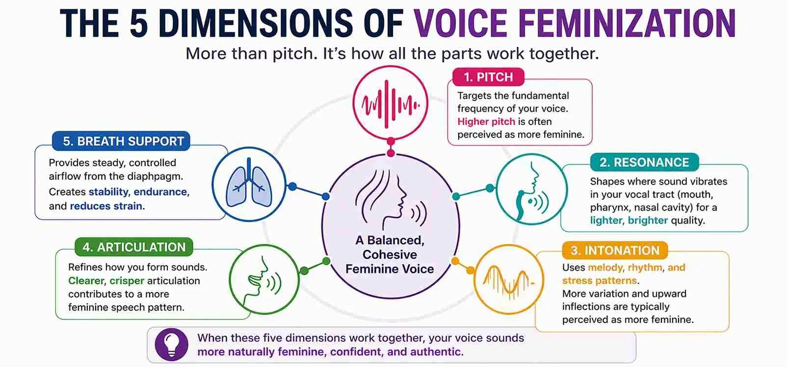 What Does Voice Feminization Training Actually Target