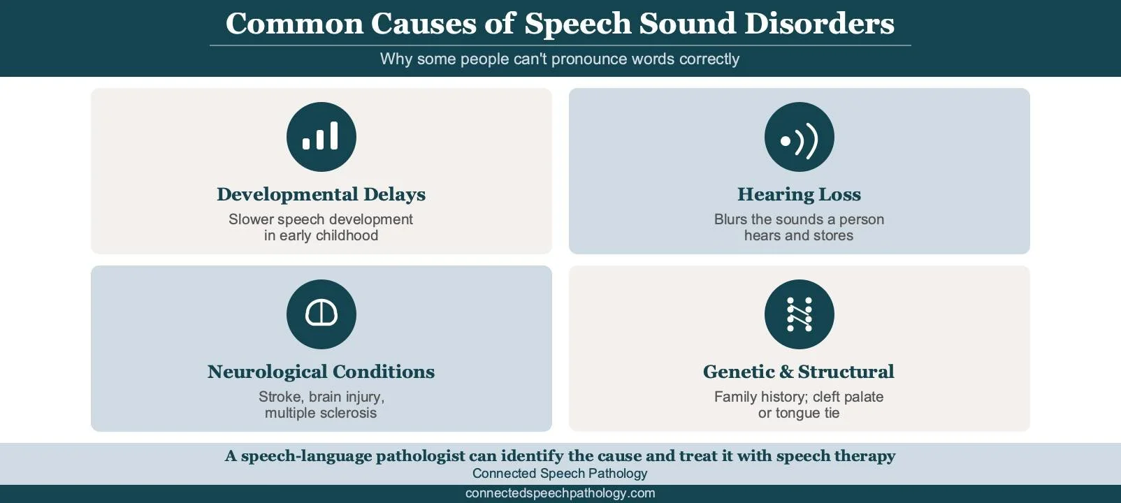 Infographic showing common causes and risk factors for speech sound disorders, including developmental delays, hearing loss, neurological conditions, genetic and family history, and structural differences.