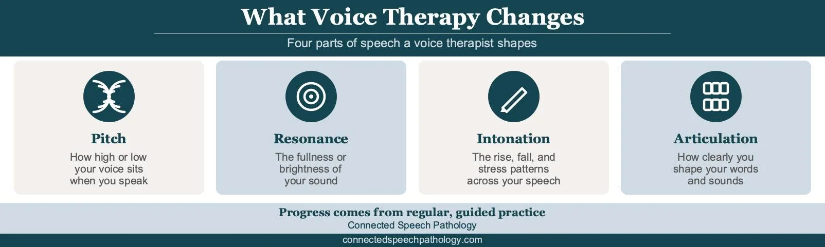 Voice dysphoria infographic showing what gender-affirming voice therapy changes: pitch, resonance, intonation, and articulation.