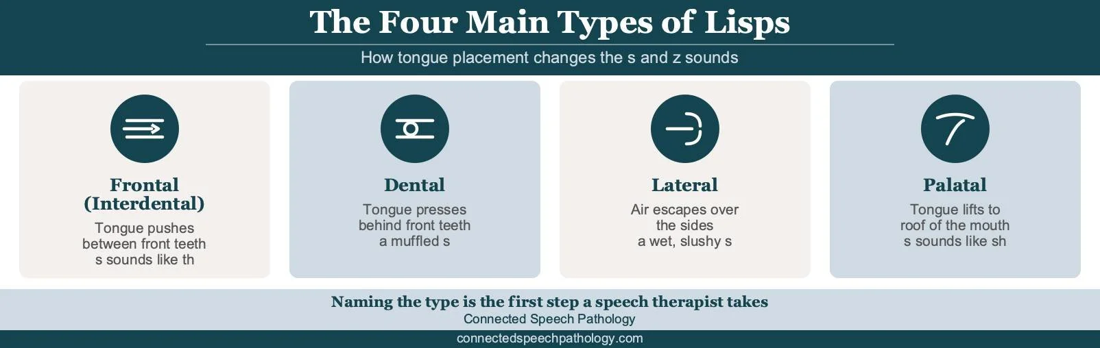 Why do people have lisps infographic: frontal, dental, lateral, and palatal types and the s and z sounds