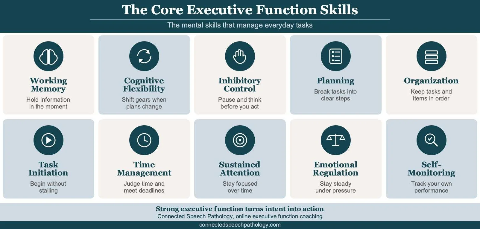 Executive function disorder in adults infographic: working memory, attention, planning, organization, and self-monitoring