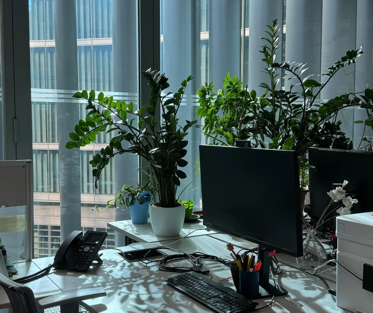 Task Completion, Organization, and Time Management