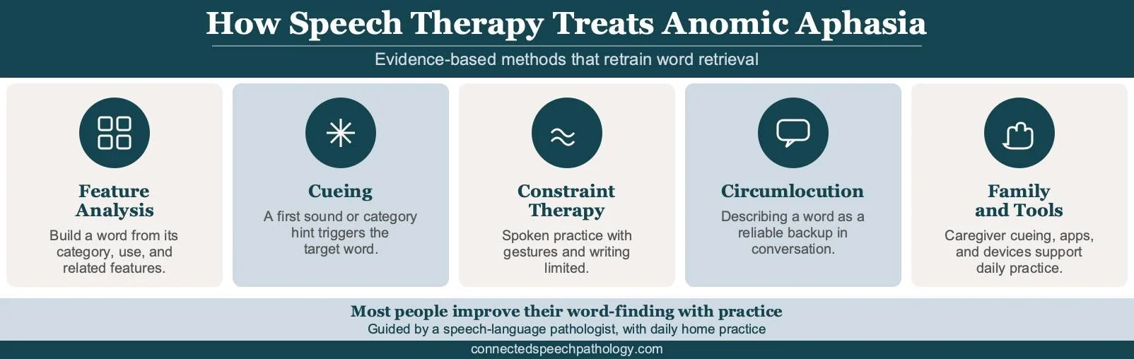 Infographic of anomic aphasia treatments: Semantic Feature Analysis, cueing, Constraint-Induced Language Therapy, circumlocution training, word-finding notebook, and family training