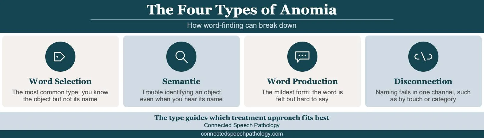 The four types of anomia in anomia treatment: word selection, semantic, word production, and disconnection