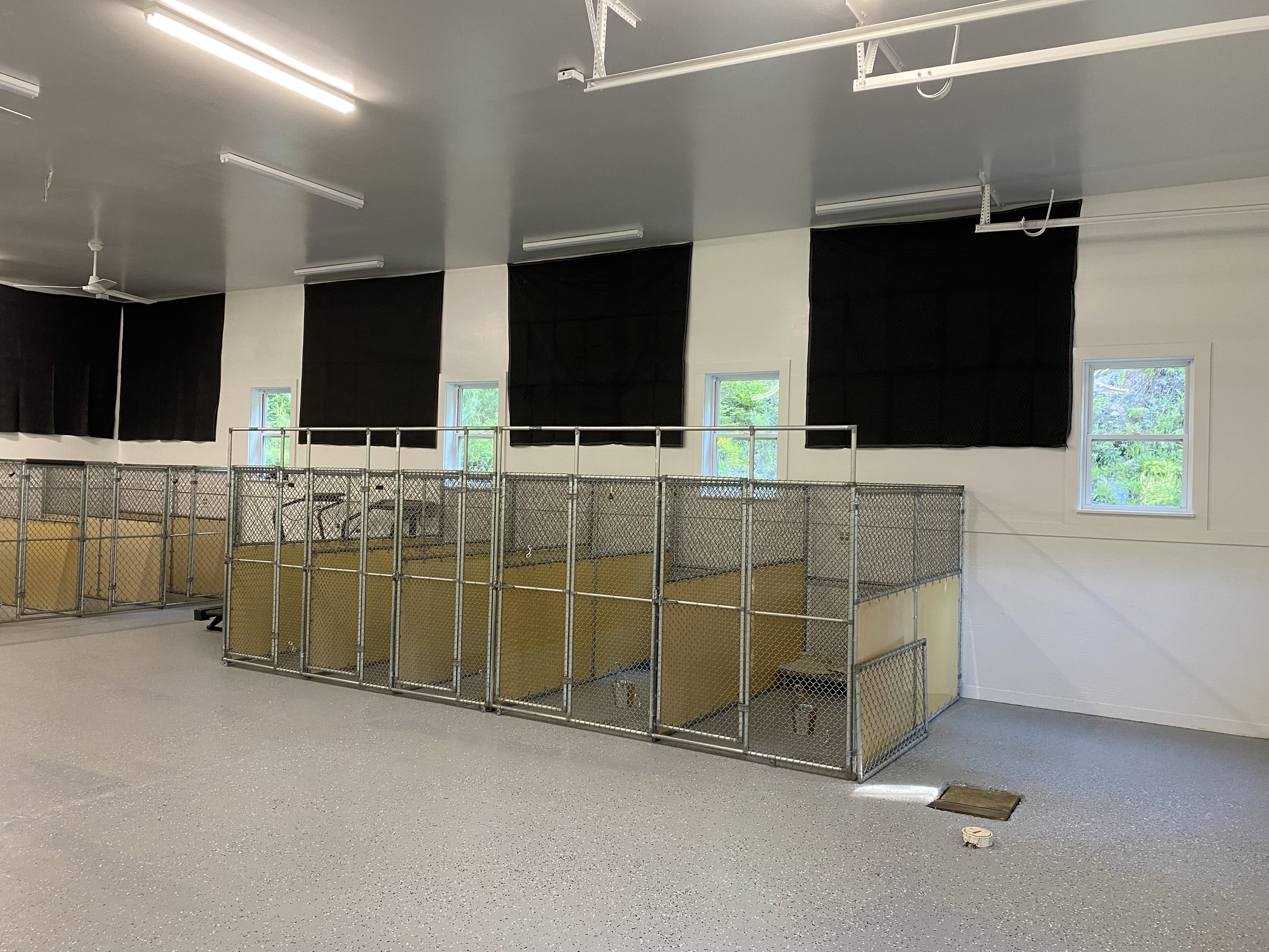 (From left to right) Kennels, two treadmills, and more kennels!