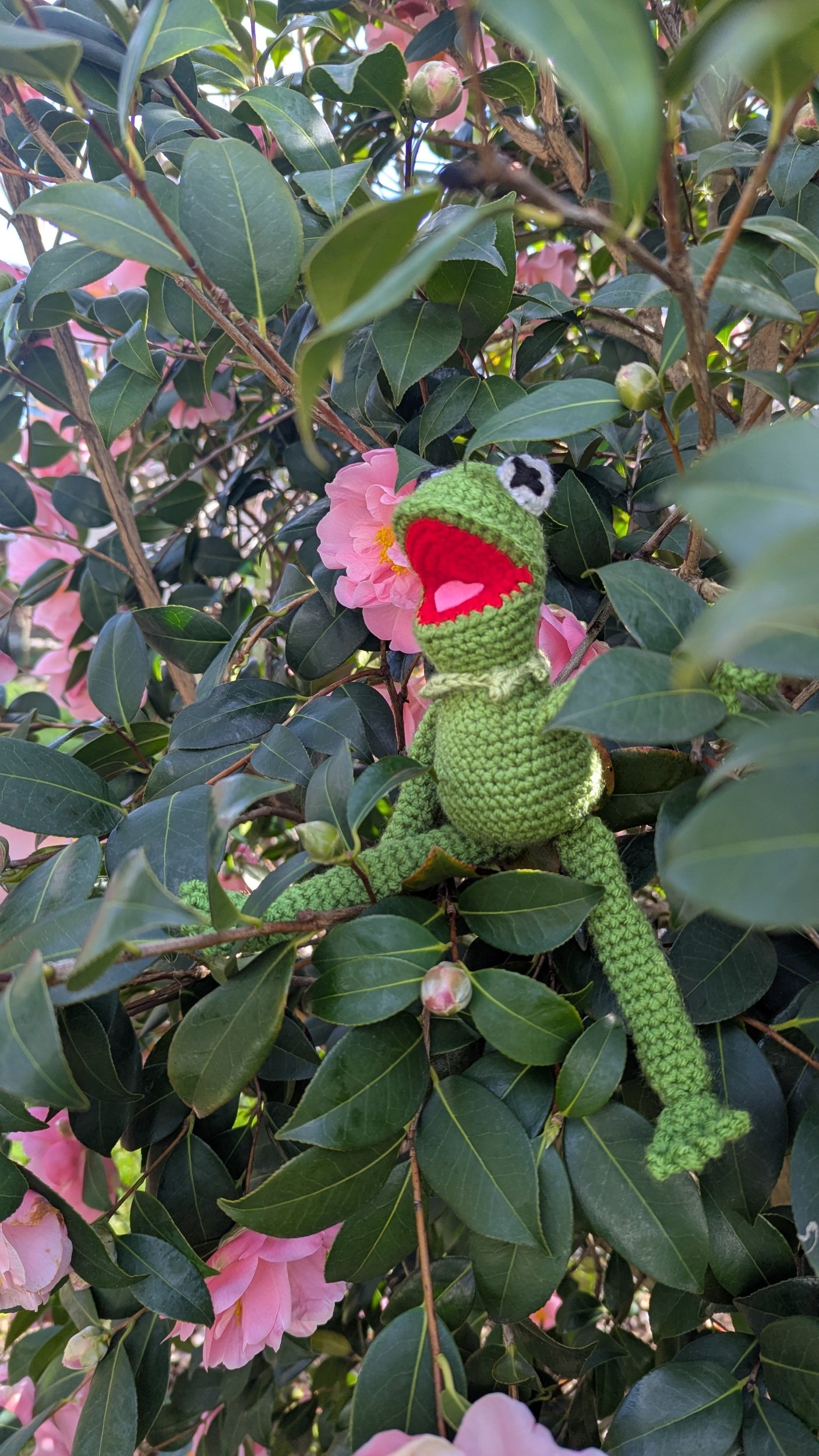 Adorable Handmade Crocheted Frog Doll