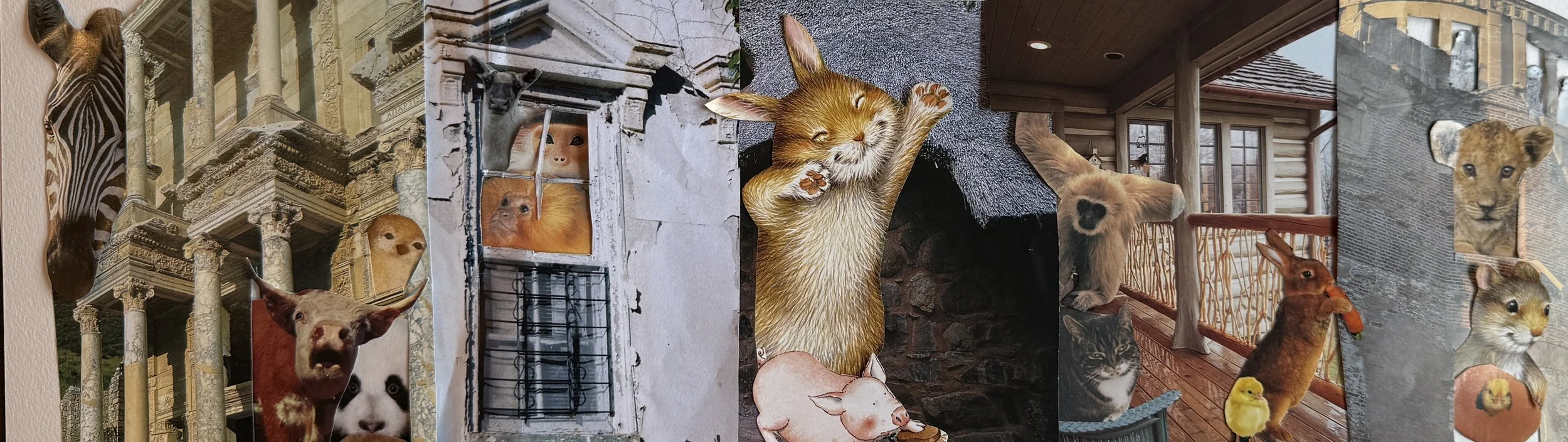 FullSizeRender 3.jpeg