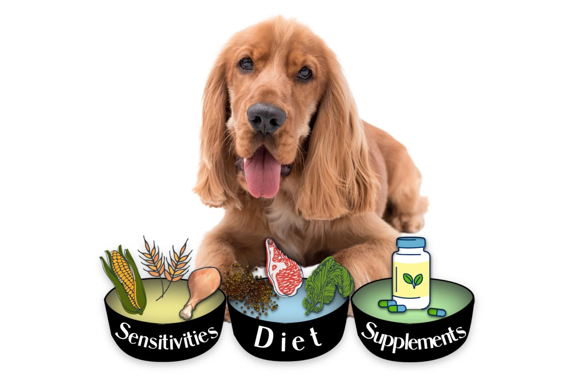 CPP with dishes .jpg