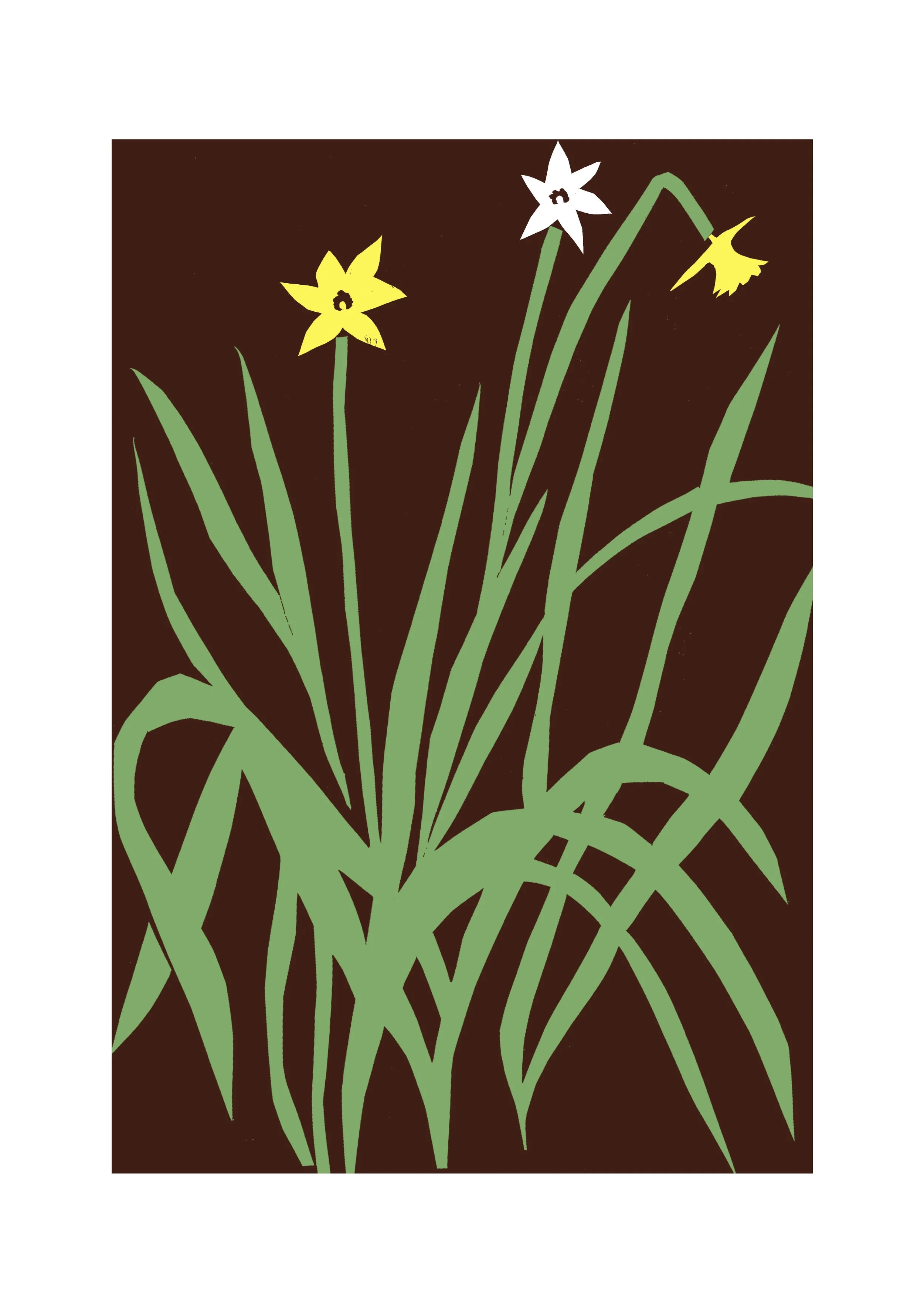 daffodils 2.jpeg