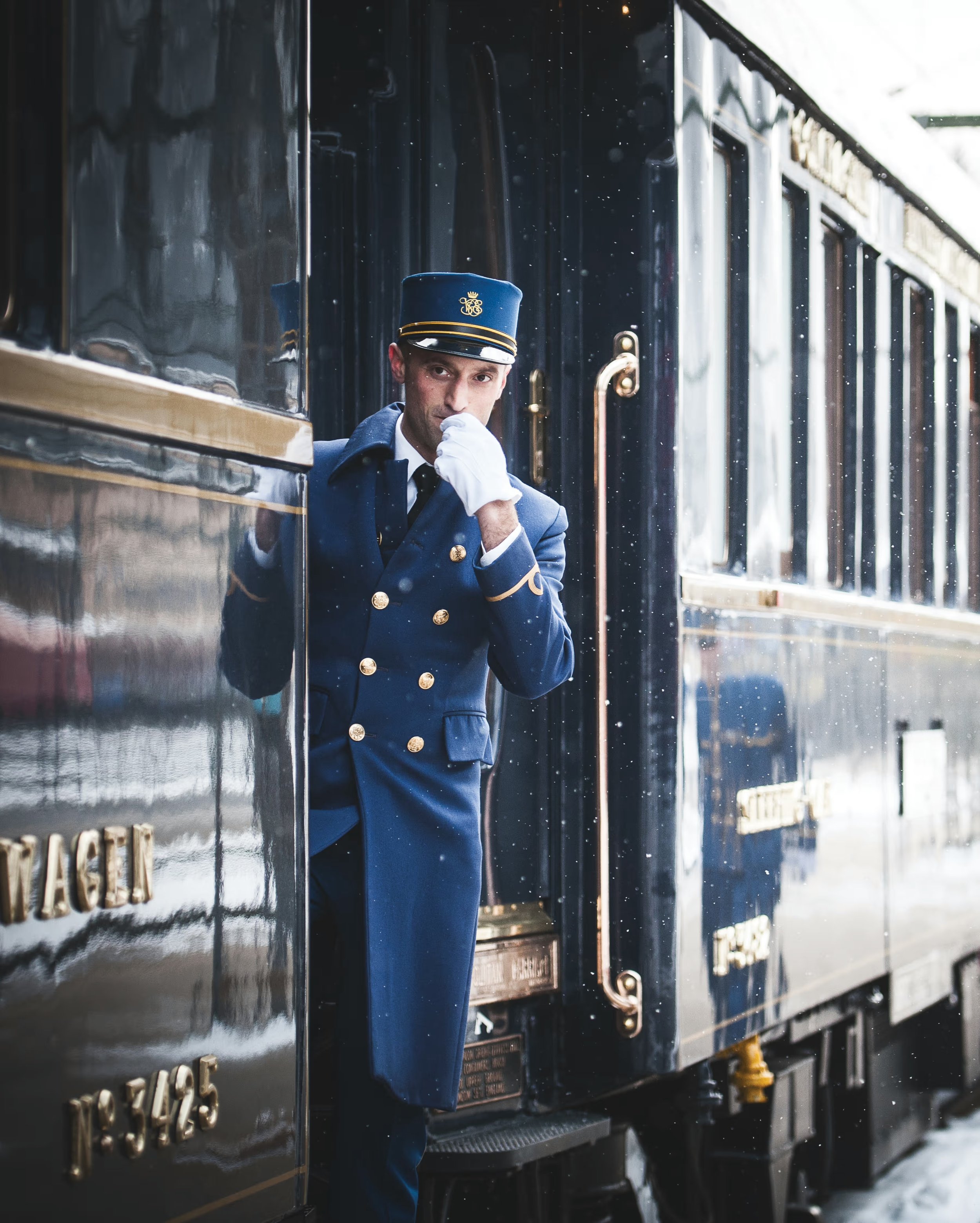vso-stf-steward13.jpeg