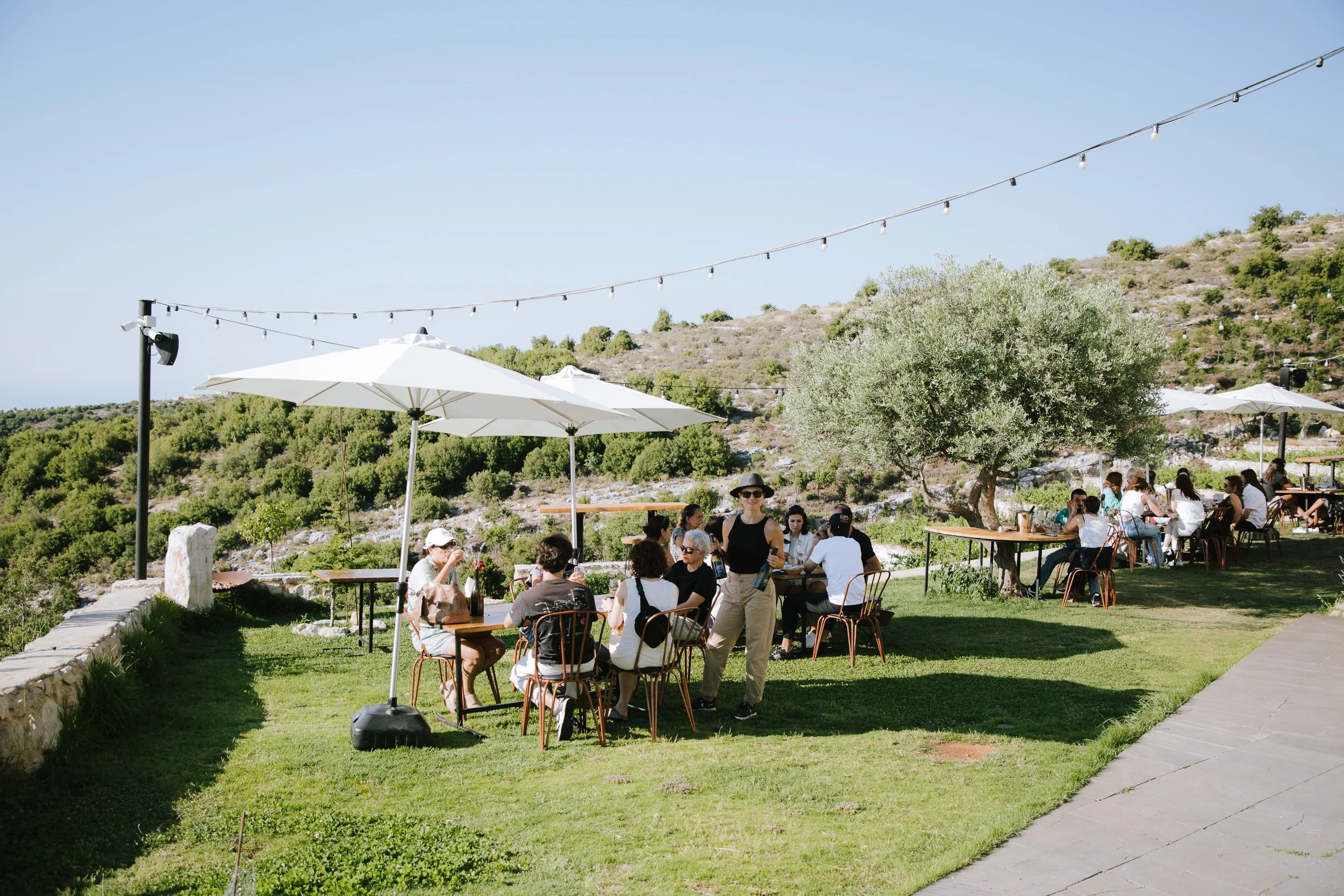Table Sept at Sunset: Natural Wine, Batroun Sea Days, and Lebanon in a Glass