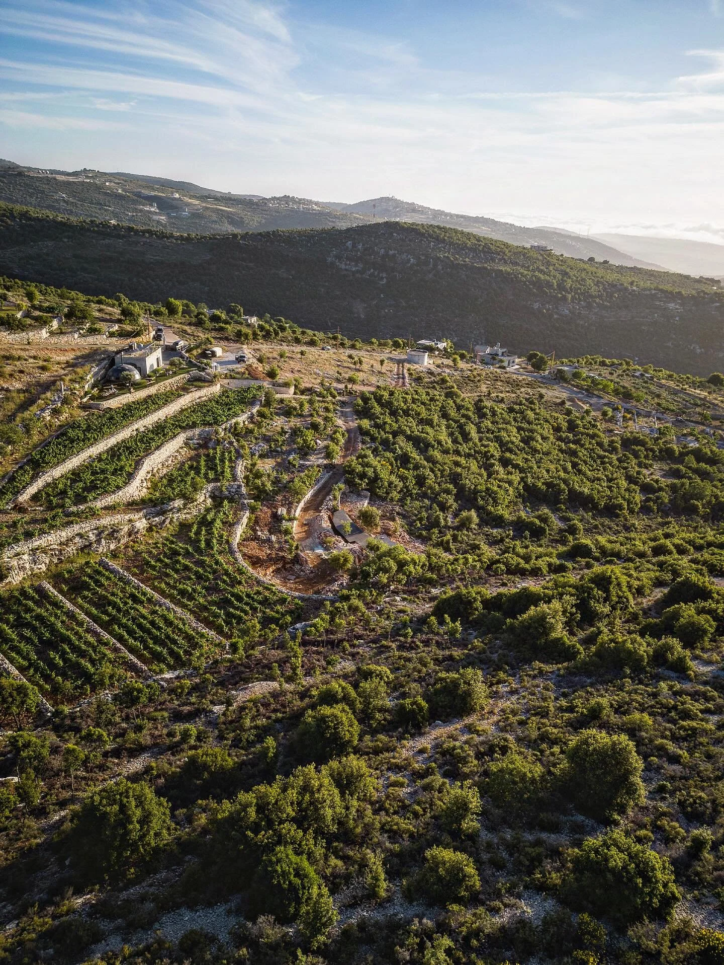 While the world sees headlines, I see strong community and passion. And a place I consider home 🇱🇧 

I see people carrying on.....one grape at a time 🍇

At @septwinery in @visit.batroun, what @krystelriachi and her husband Maher have built is more
