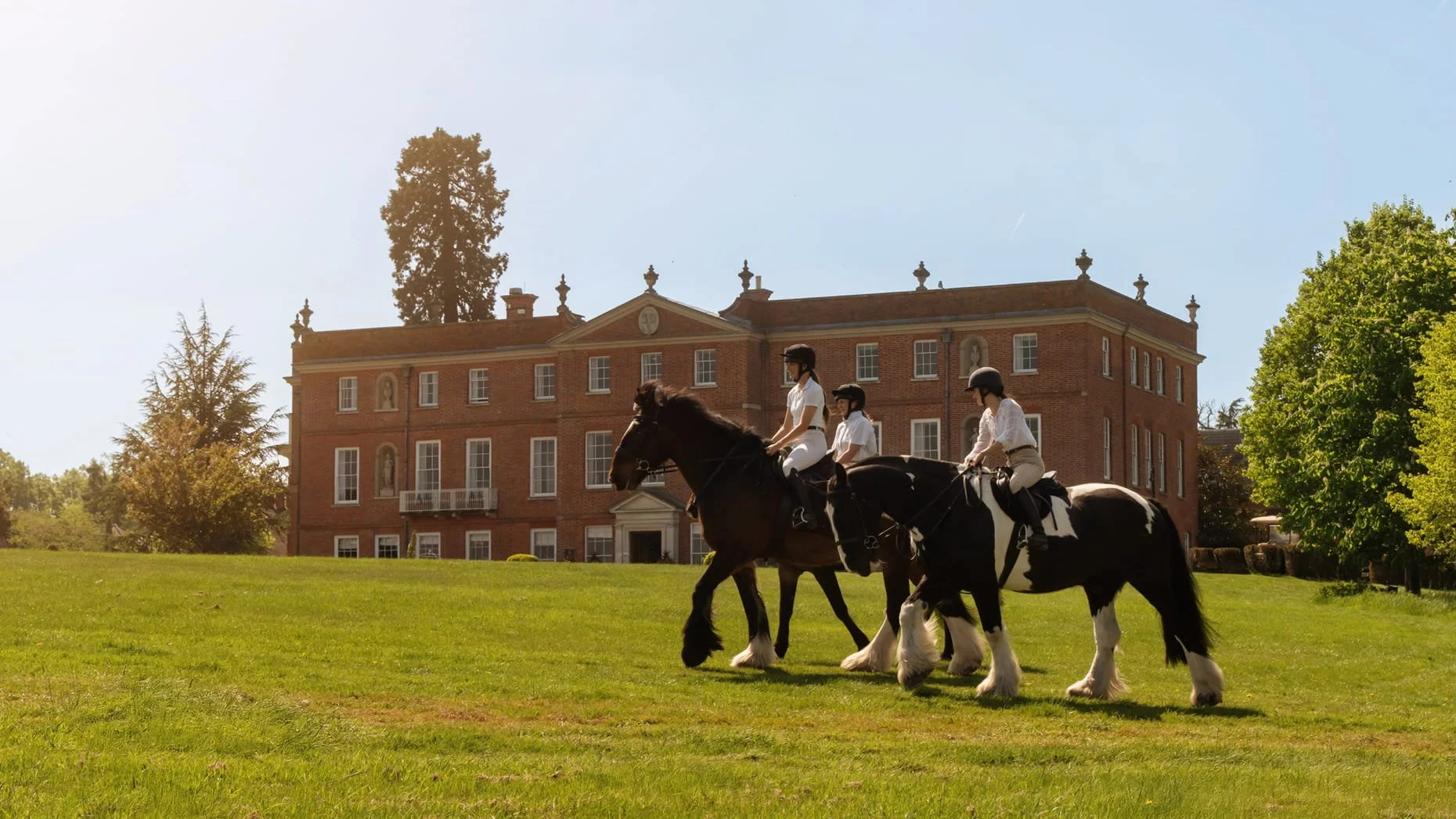 HAM_2036_original FS Hampshire Horses.jpg