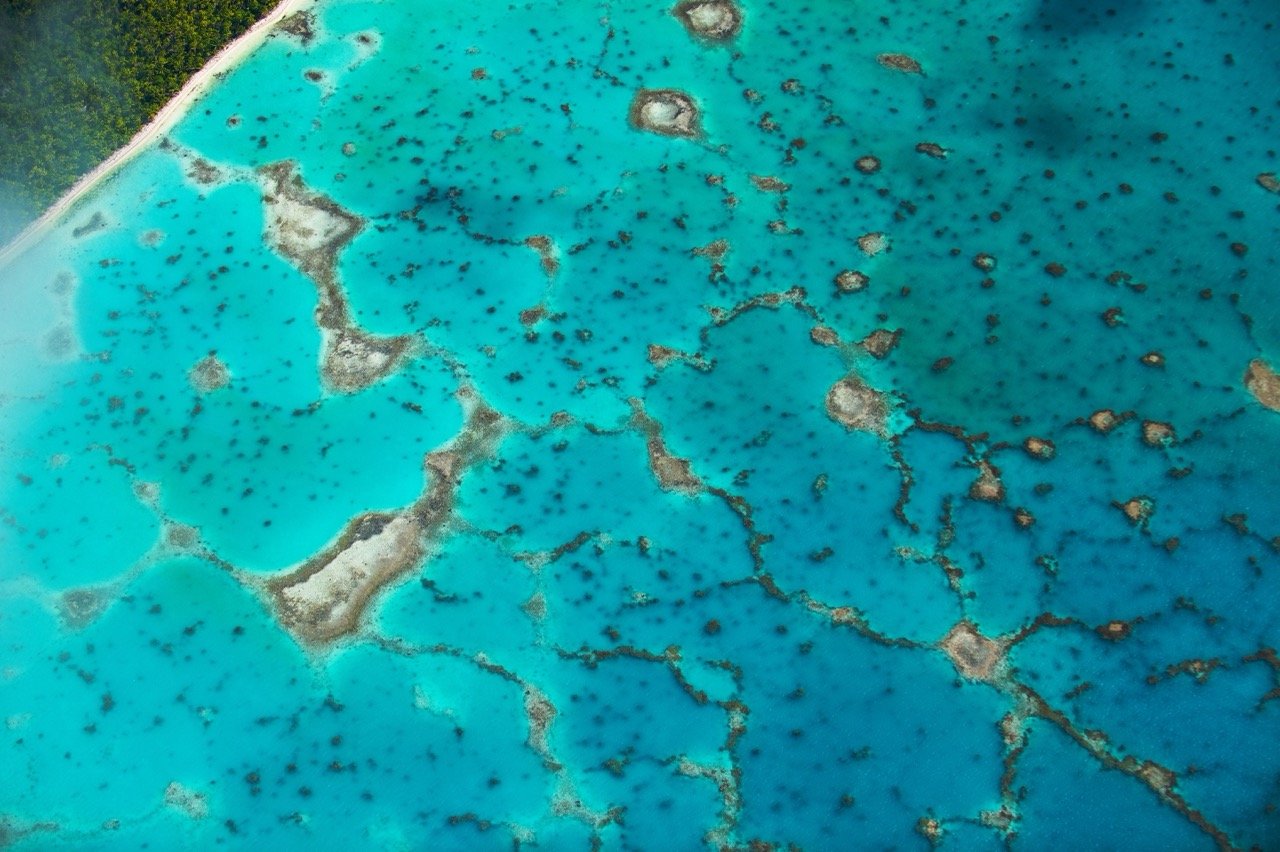 tmk-aerial18 The Brando Large.jpeg