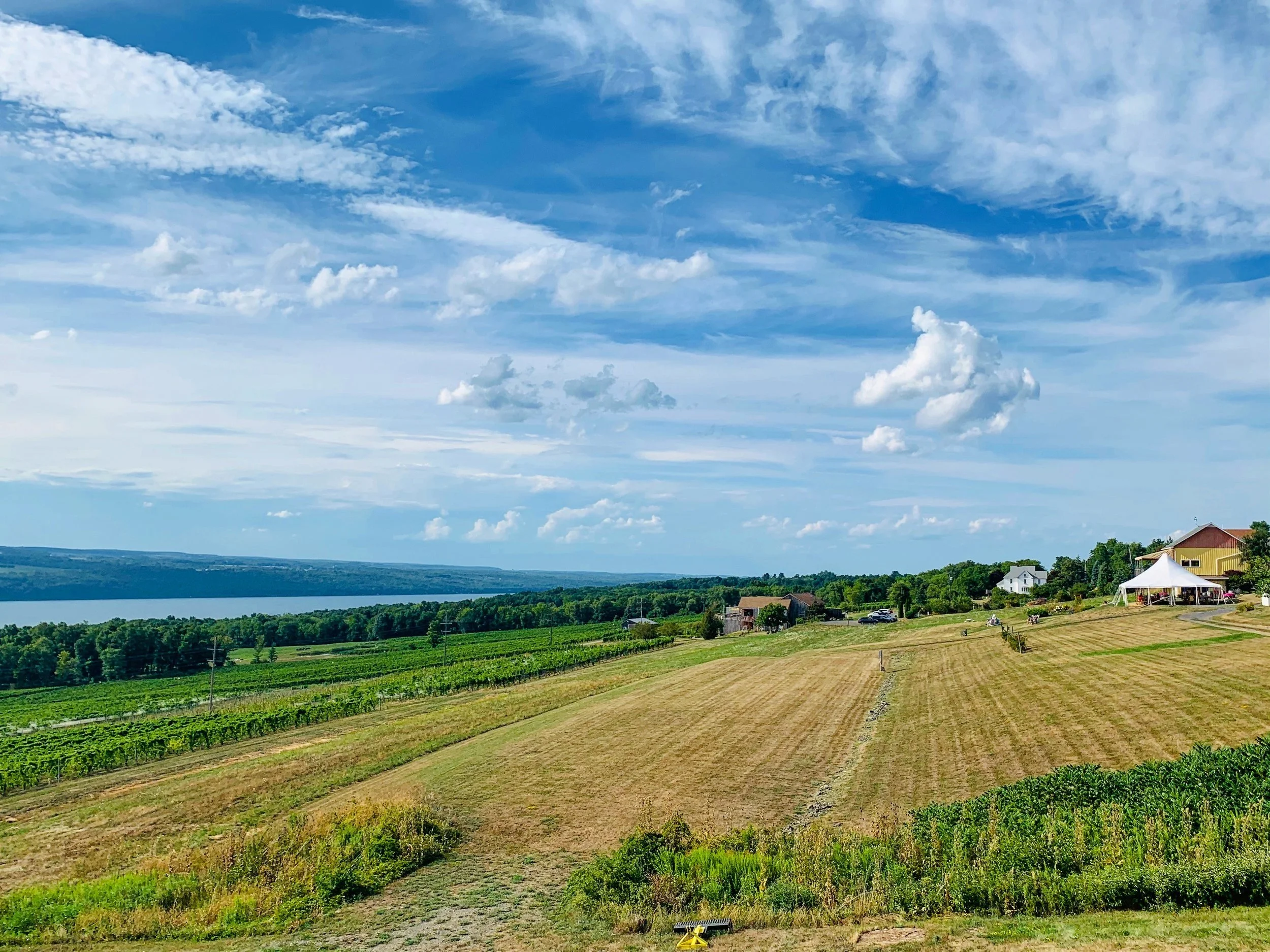 Finger Lakes Winery