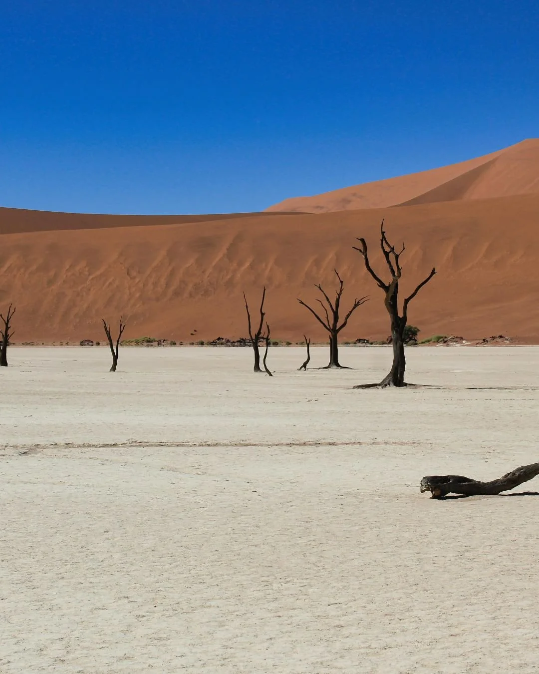 Skeleton Coast, Namibia
