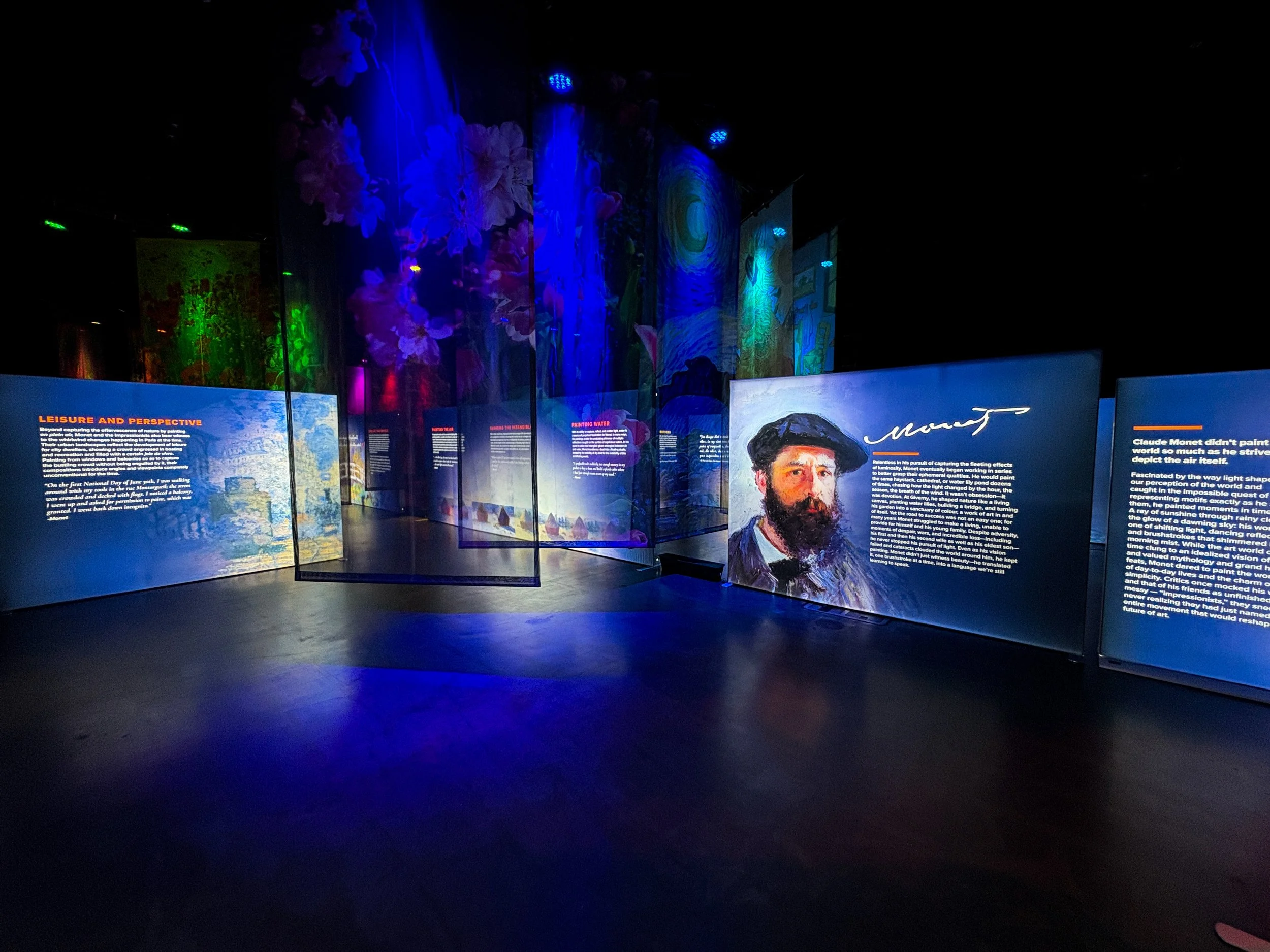 Exhibition environment showcasing how the visual system integrates within the immersive experience.