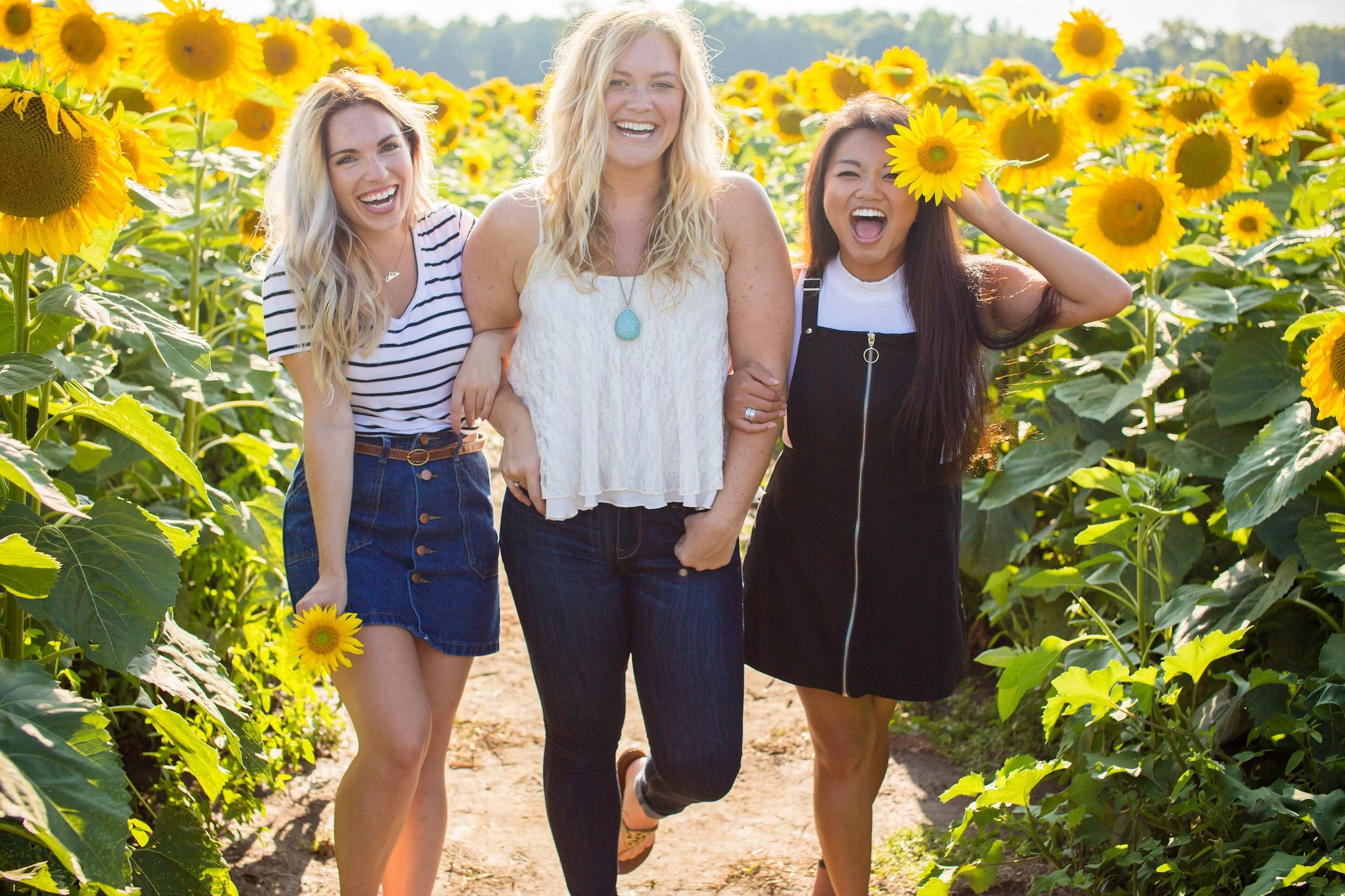 A trio of younger woman pose in a field of sunflowers.