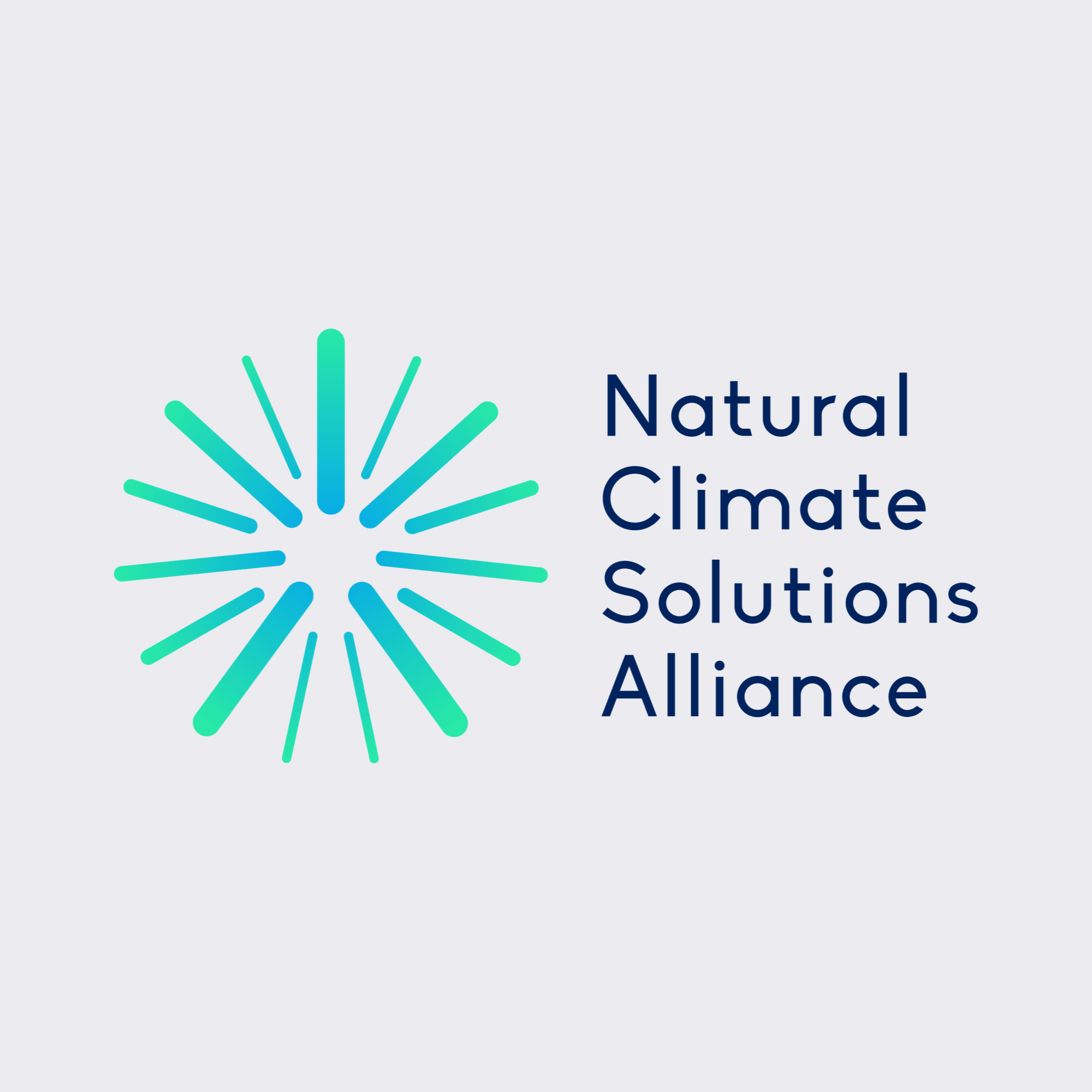 Kita_Promo_WebLogos Copy 19.png