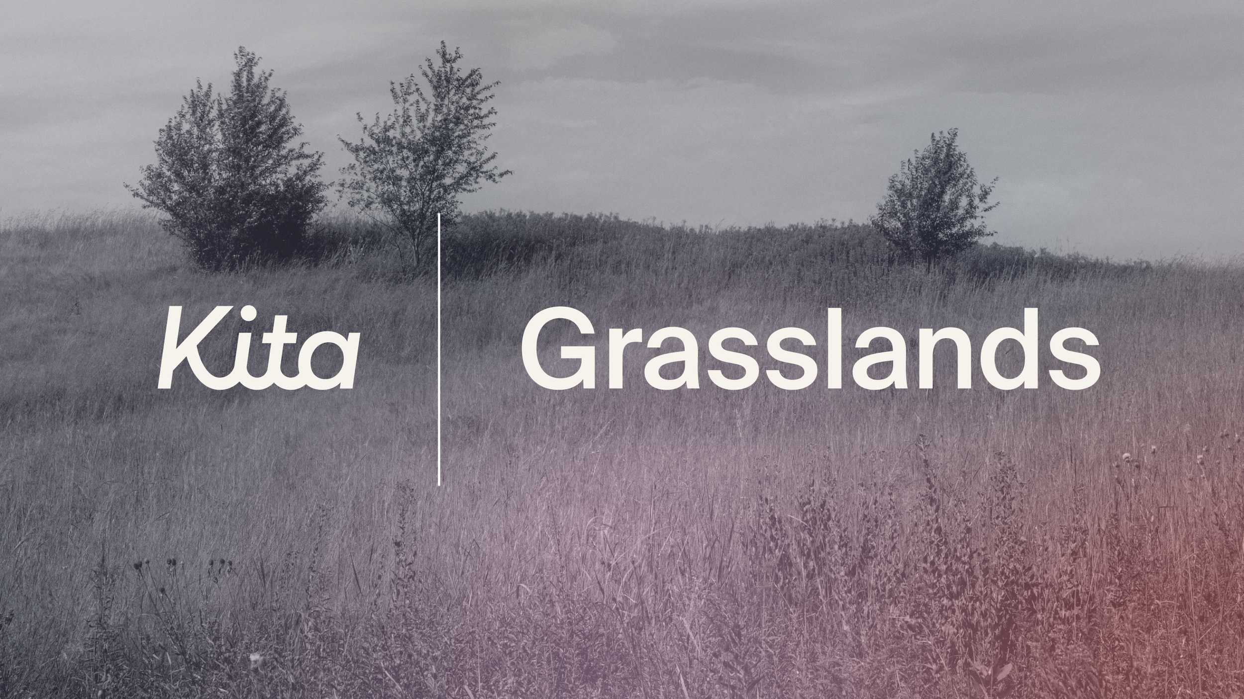 Grazing the bar: the critical role of grasslands in climate change ...