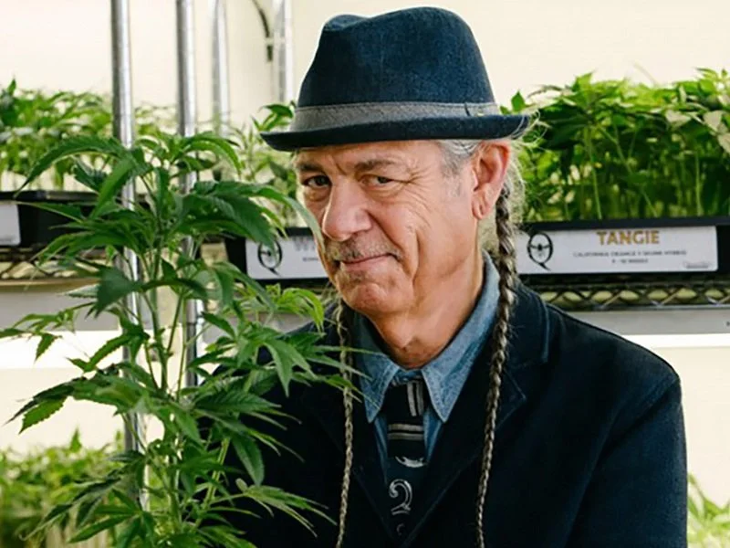 Cannabis Industry w/ Steve DeAngelo