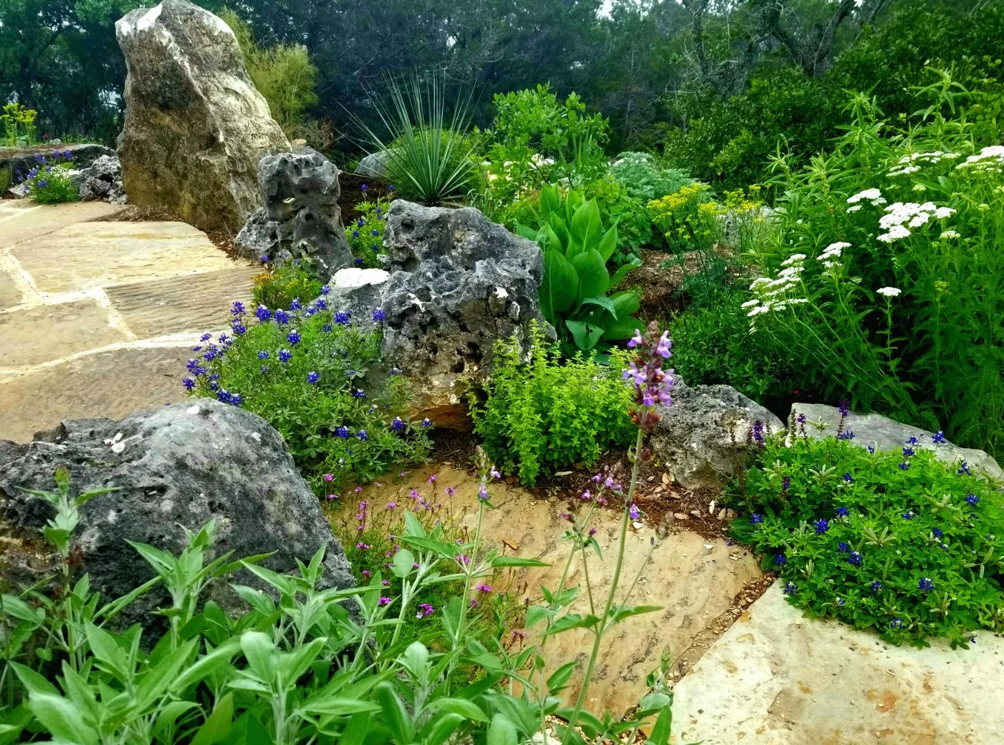 landscape-design-by-lynn-herrmann.jpeg