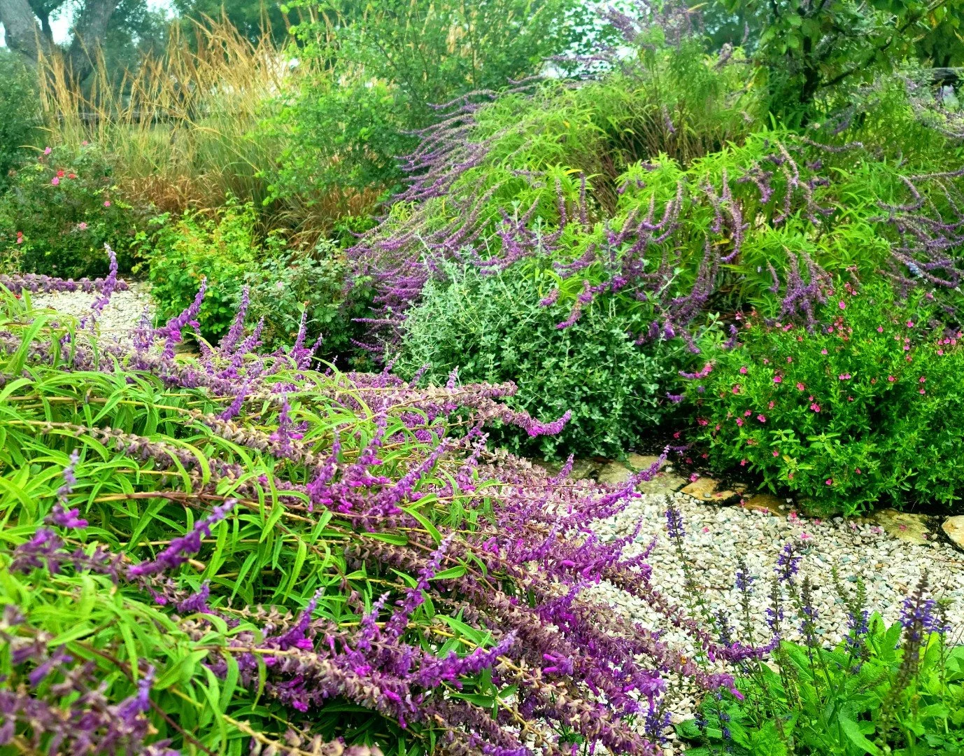 planting-design-by-lynn-herrmann .jpeg