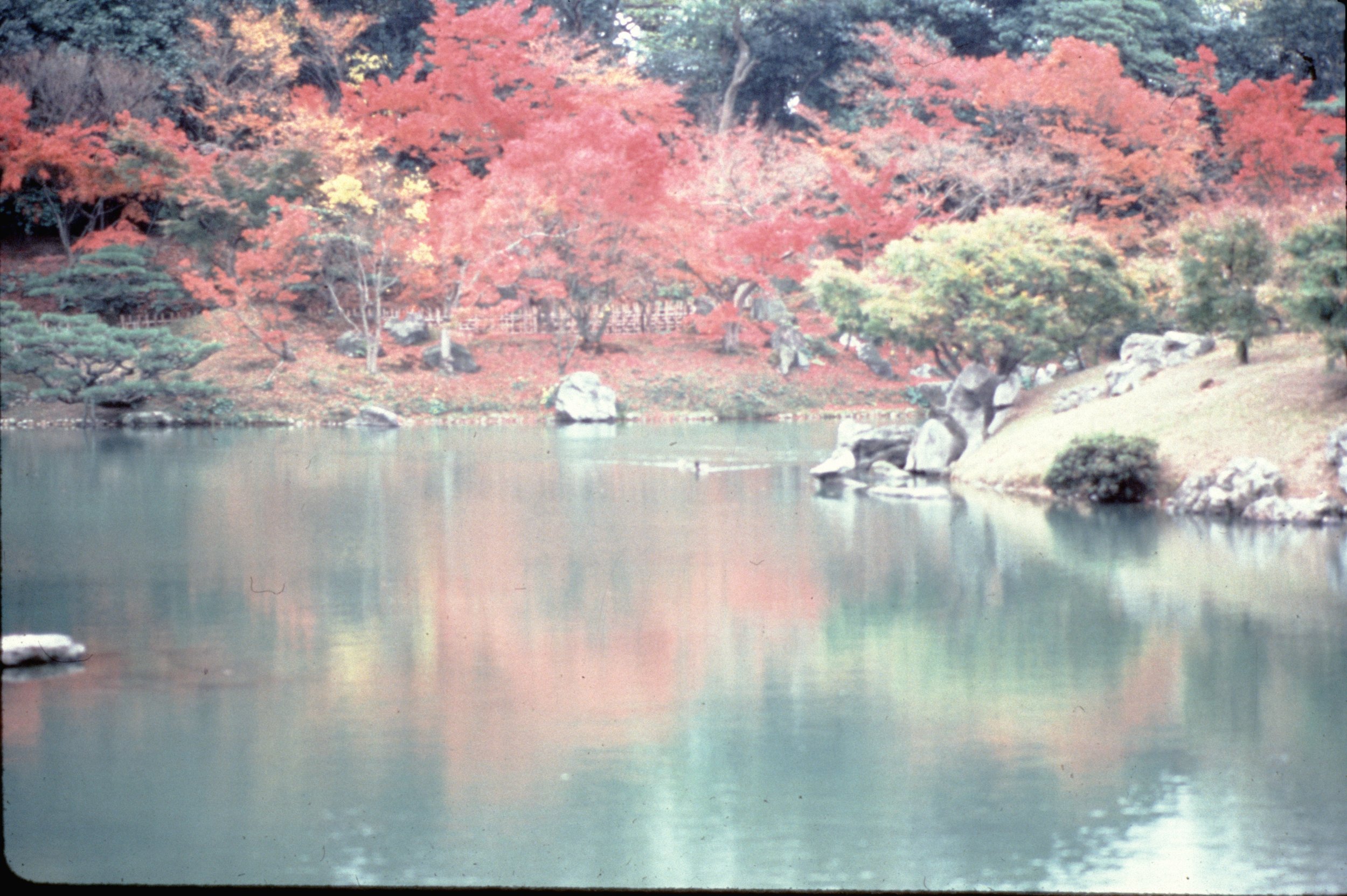PhotoSeriesA207