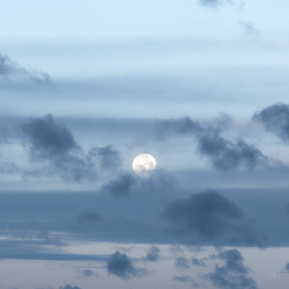 Blue Striped Moon-web.jpg