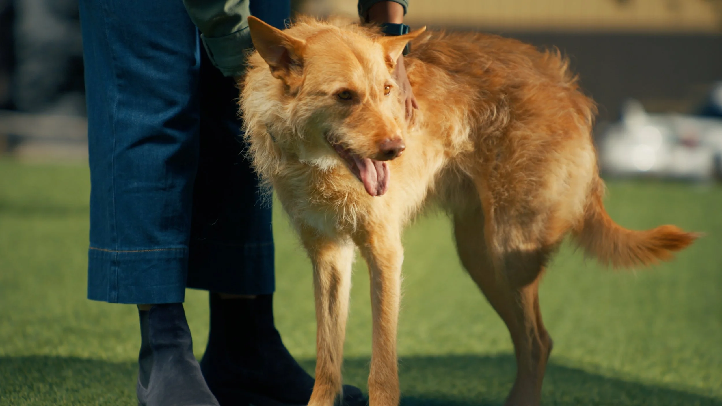 Loyal_1.59.1.jpg