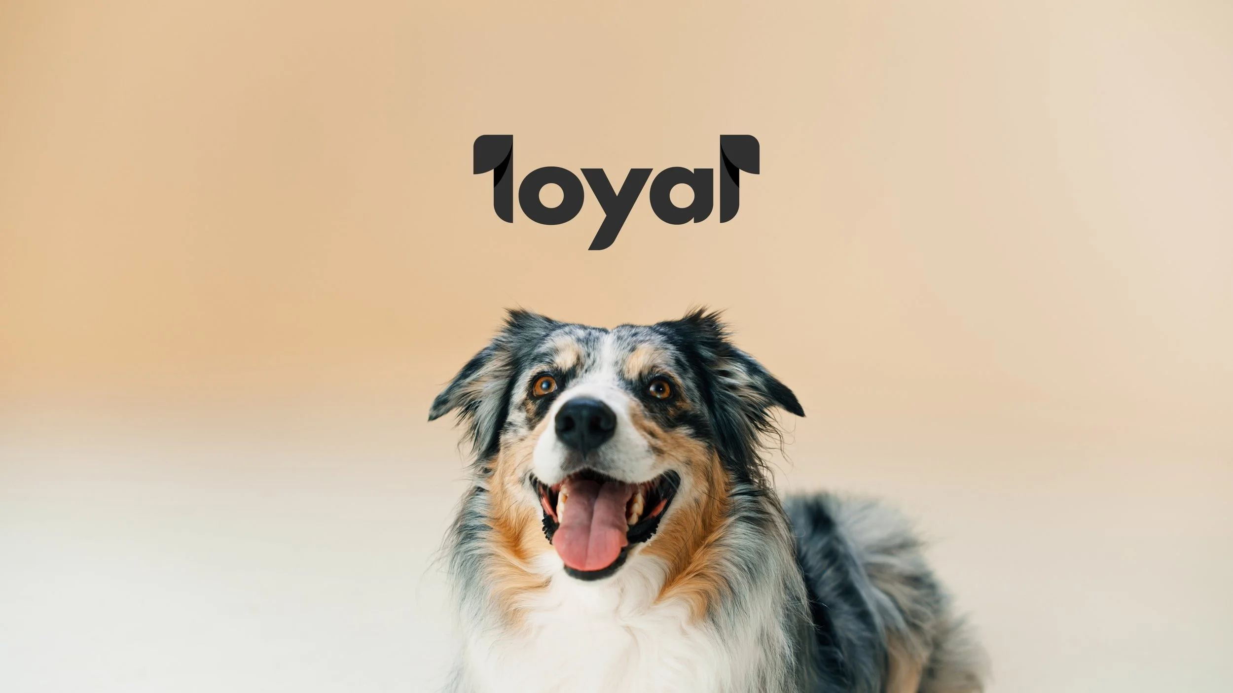 Loyal_2.28.1.jpg