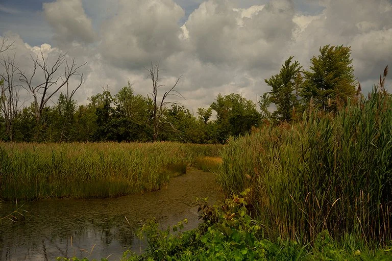 On my excursions away from the city, I was reminded that Nature itself is sacred and that some of the places I roam were once known by other names and held meaning to people who are no longer here. With no remaining markers or records, they’re rememb