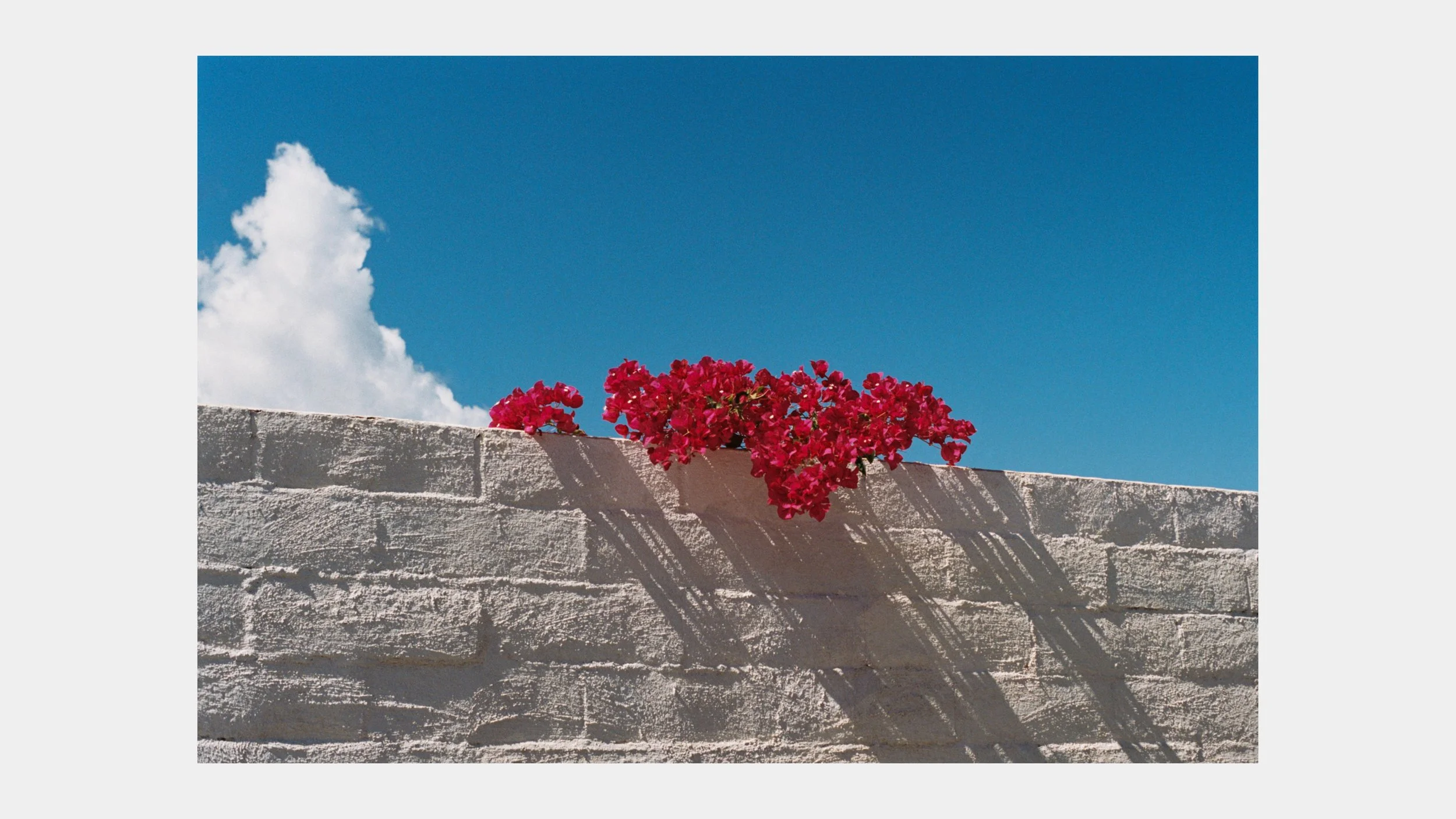 Portfolio Georgie Gibbs @georgie__gibbs Page 7.jpg