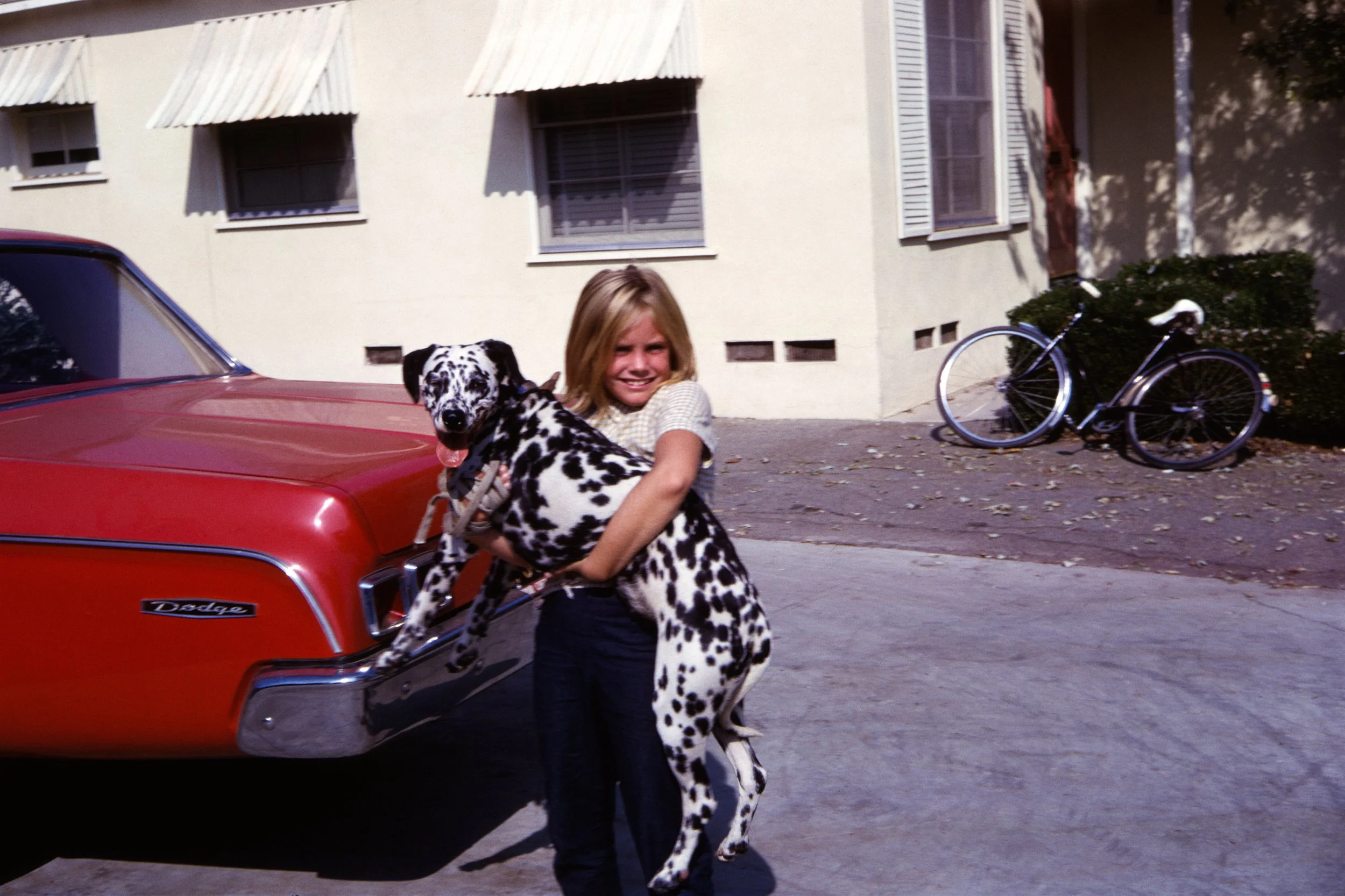 1966 USA long beach california Dodge & Dalmatian 2.jpg