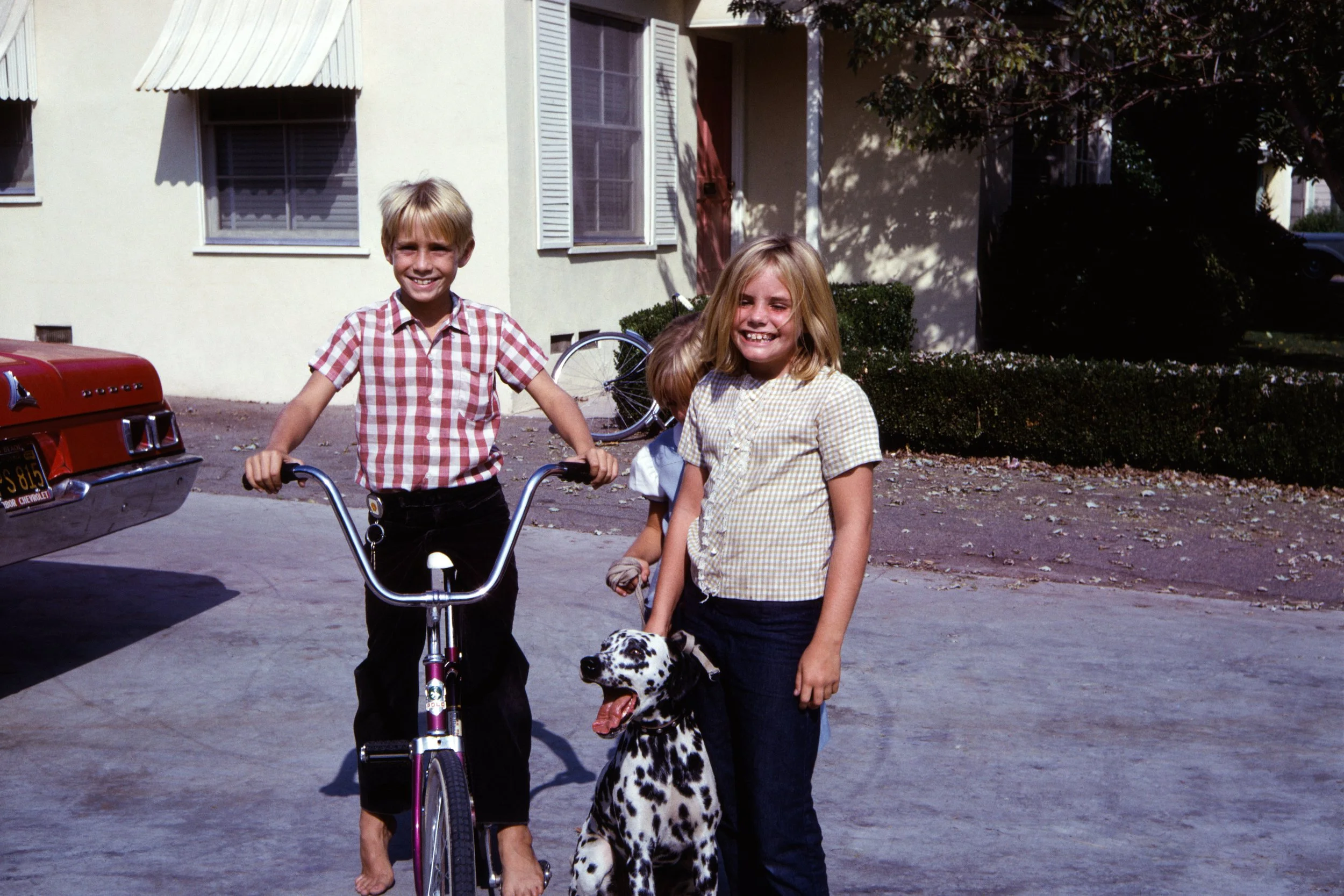 1966 USA Dodge & Dalmatian 1.jpg