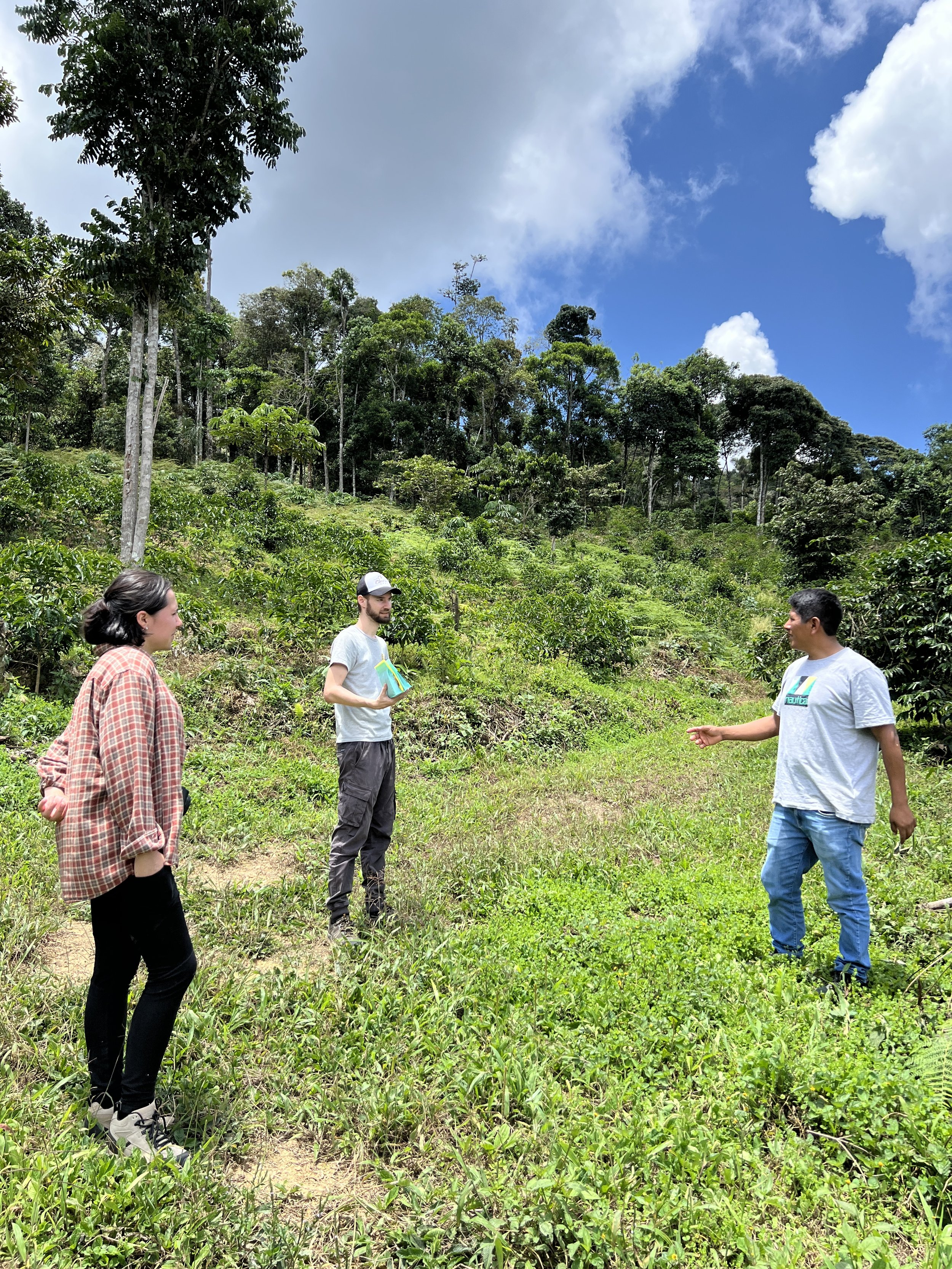 Finca Isabel Peaberry.JPG