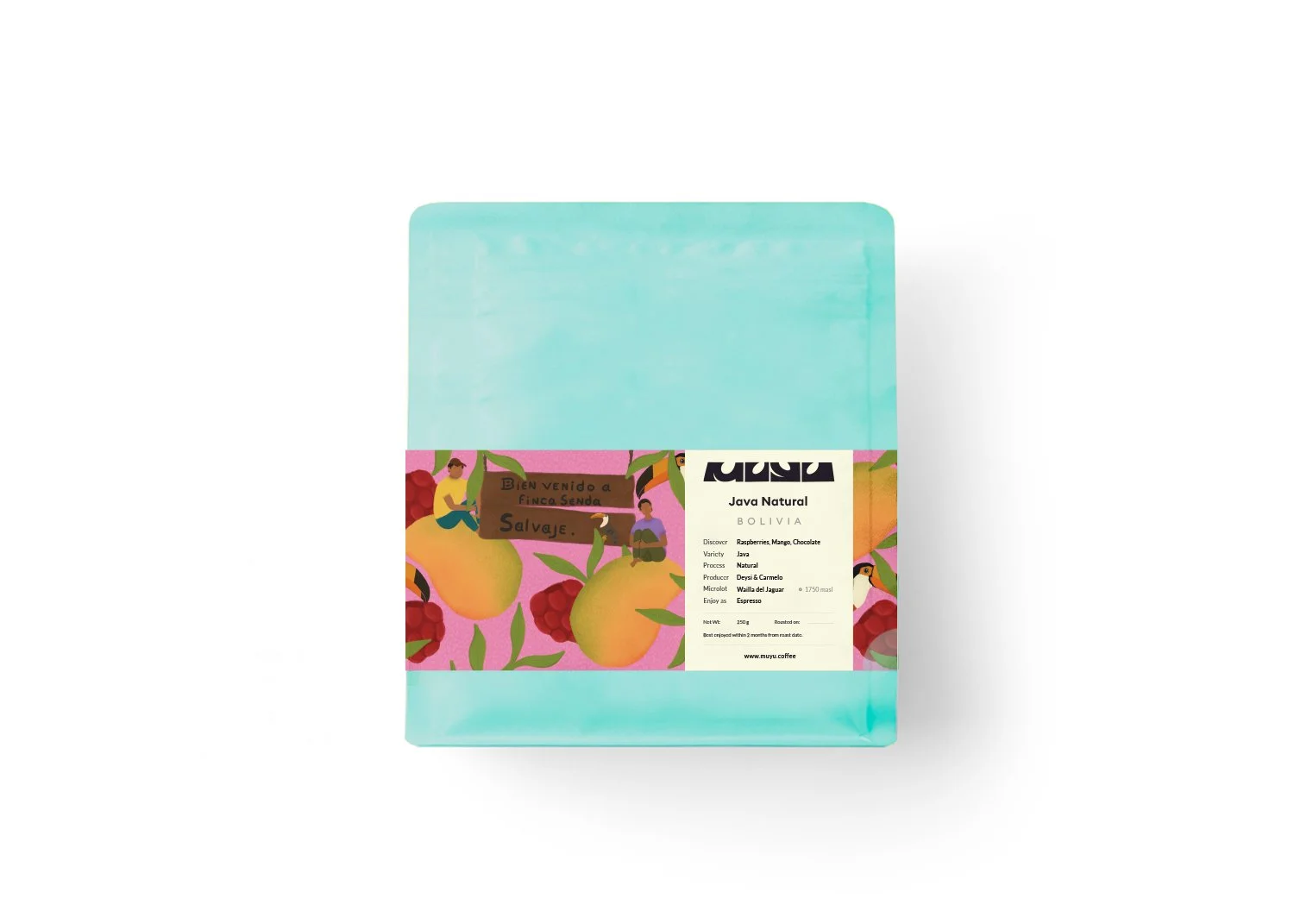 Java Natural • Espresso • Raspberry, Mango, Milk Chocolate