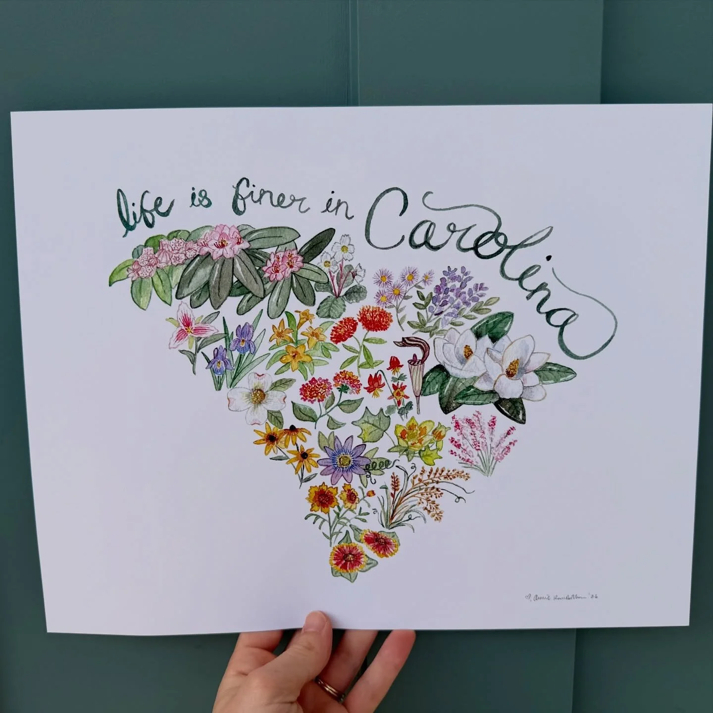 The prints are ready! I&rsquo;ll have these with me at the @trfarmersmarket on May 9th 💐 This goes with my North Carolina version to complete the &ldquo;finer in carolina&rdquo; watercolor set. The flowers were painted roughly where they grow in the